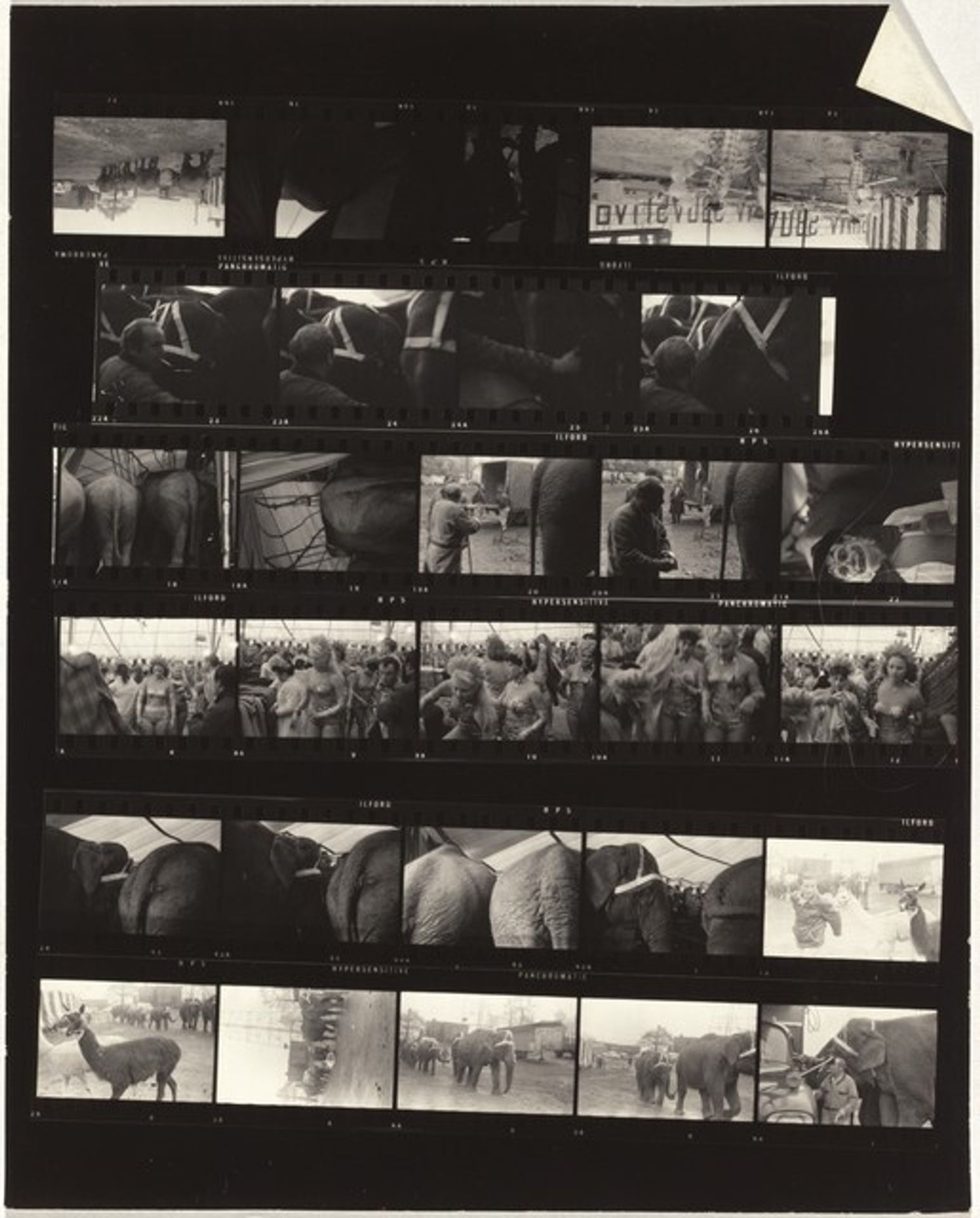 Circus, Palisades 3 by Robert Frank