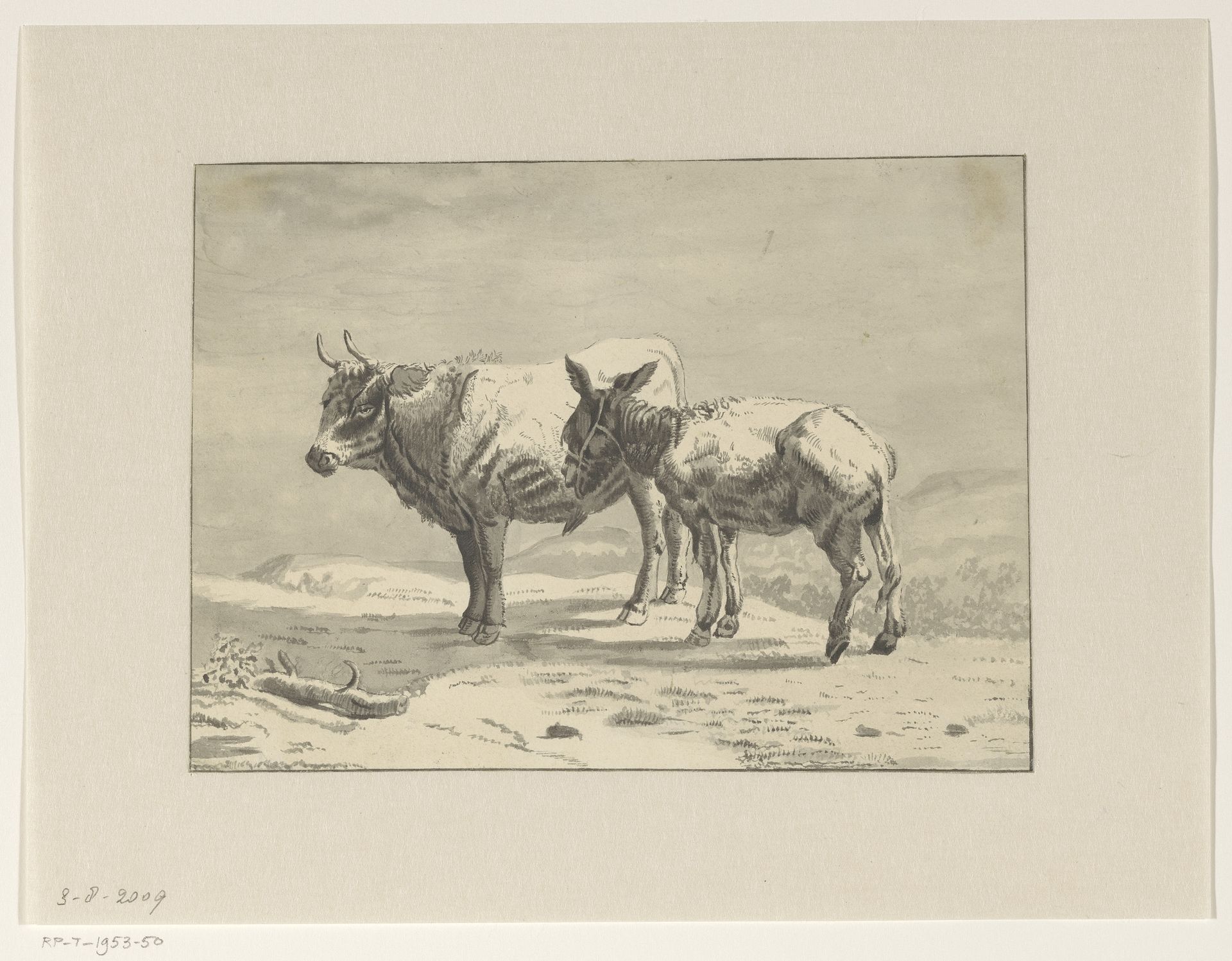 Stier en een ezel by Jan Bedijs Tom