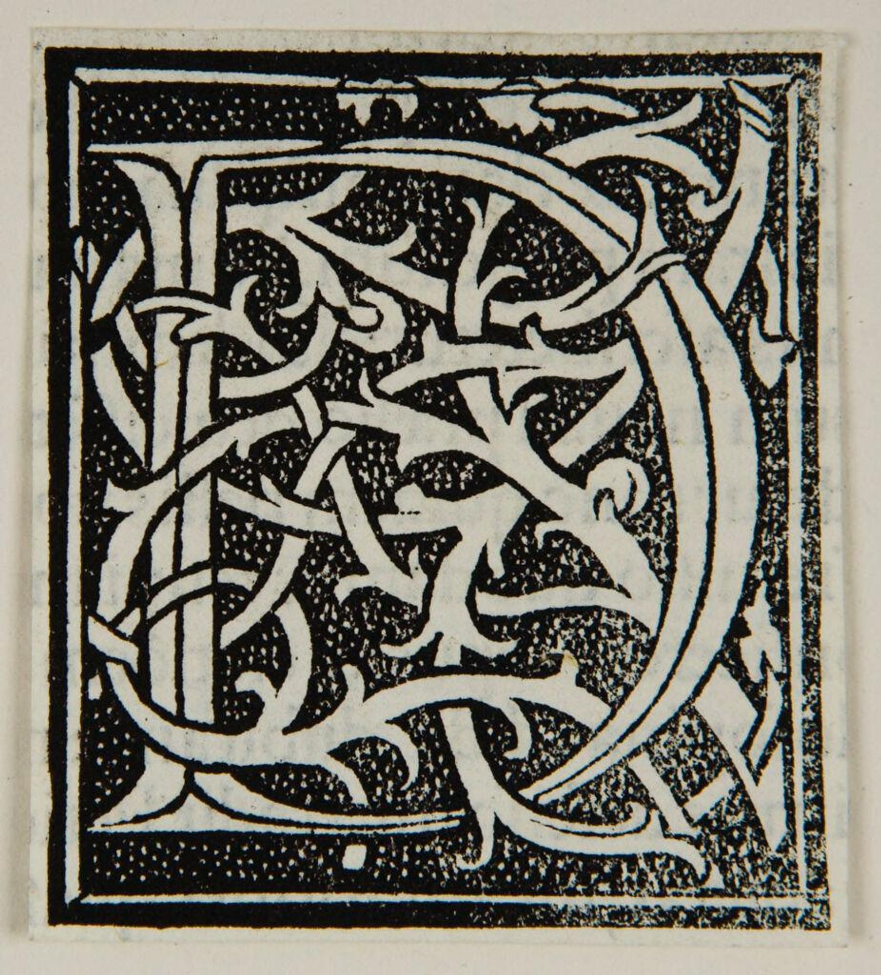 Letter D by Anonymous