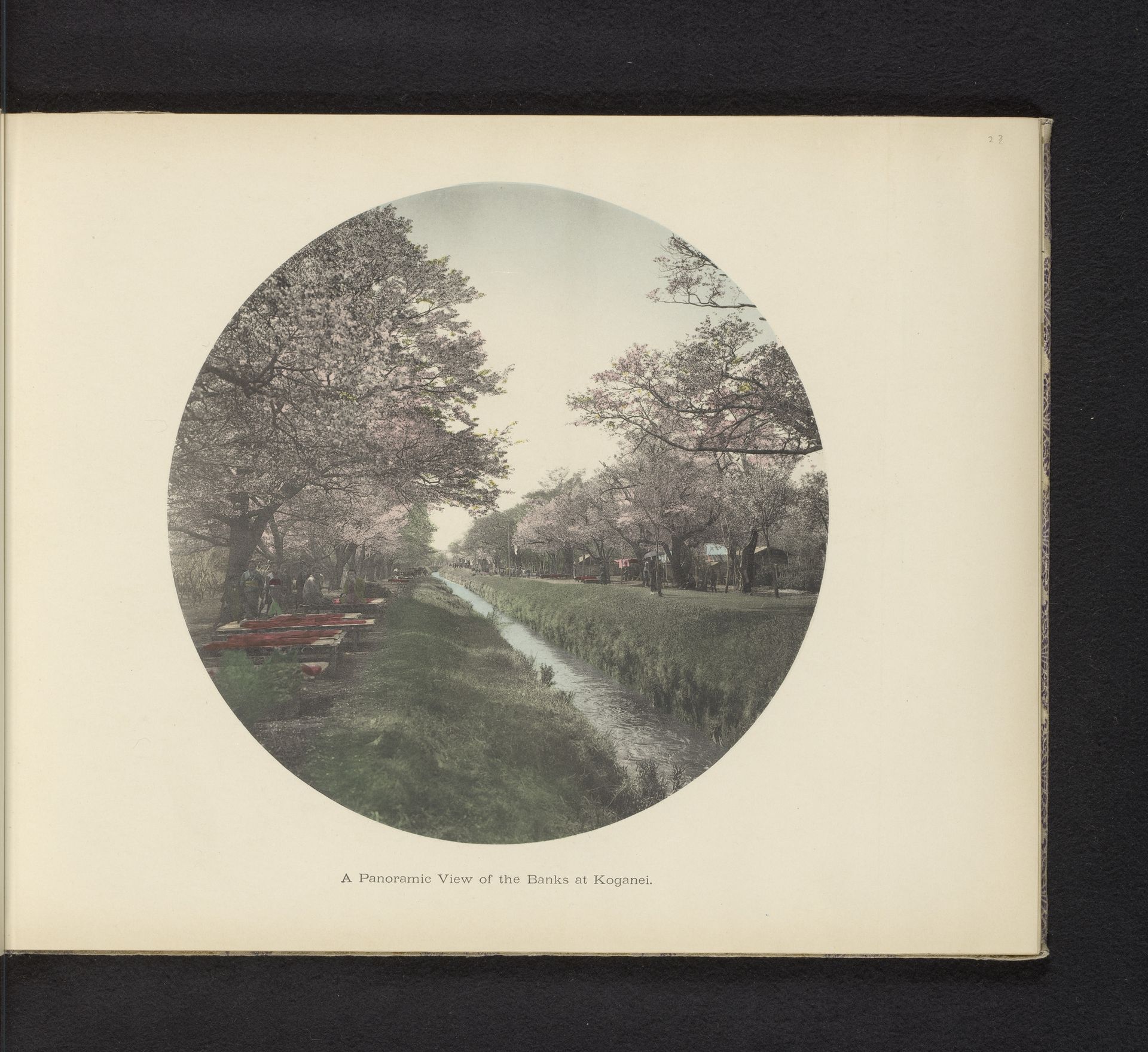 Oevers van een sloot in Koganei, Japan by Kazumasa Ogawa