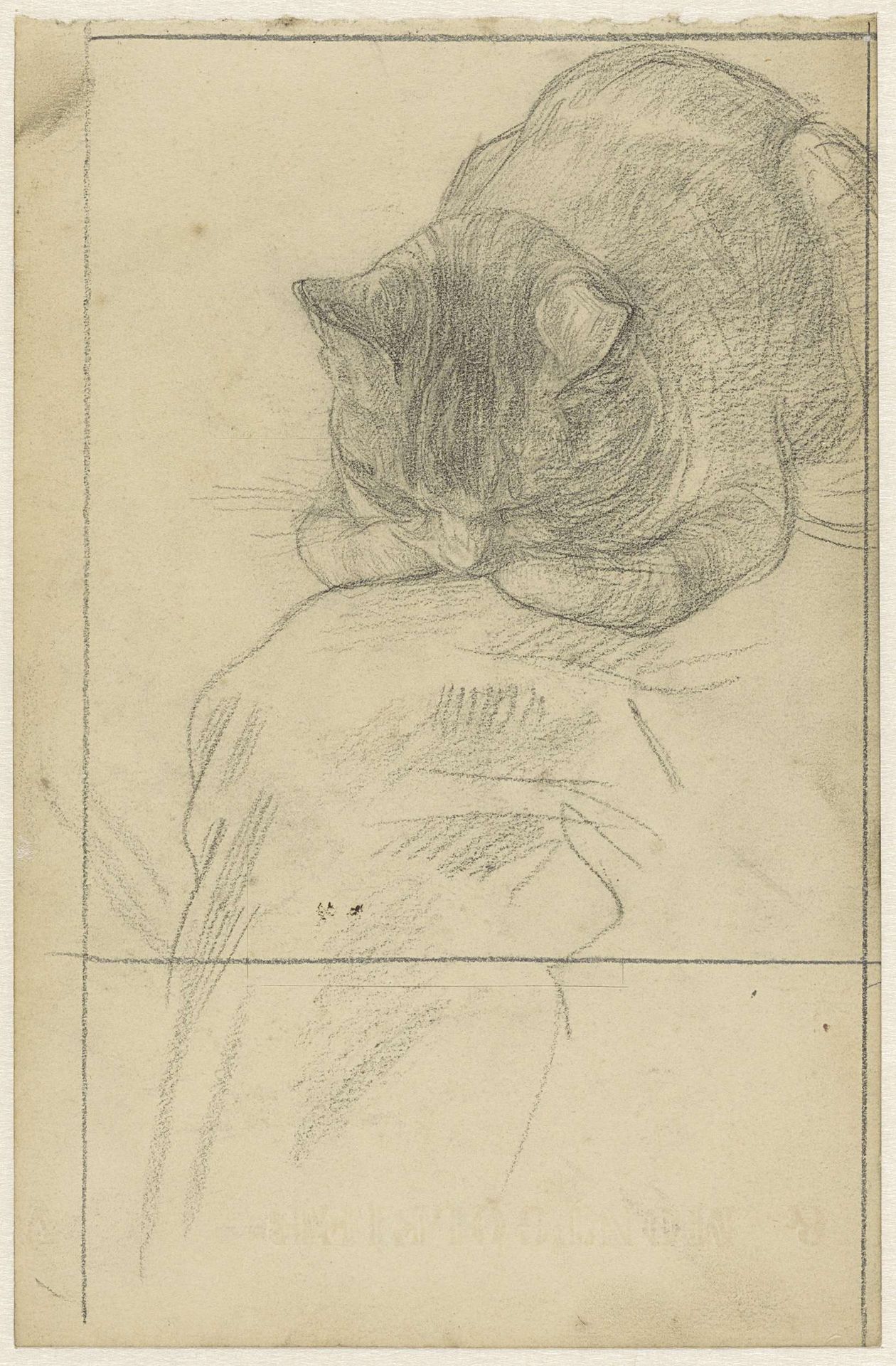 Studies van een kat by Jan Veth