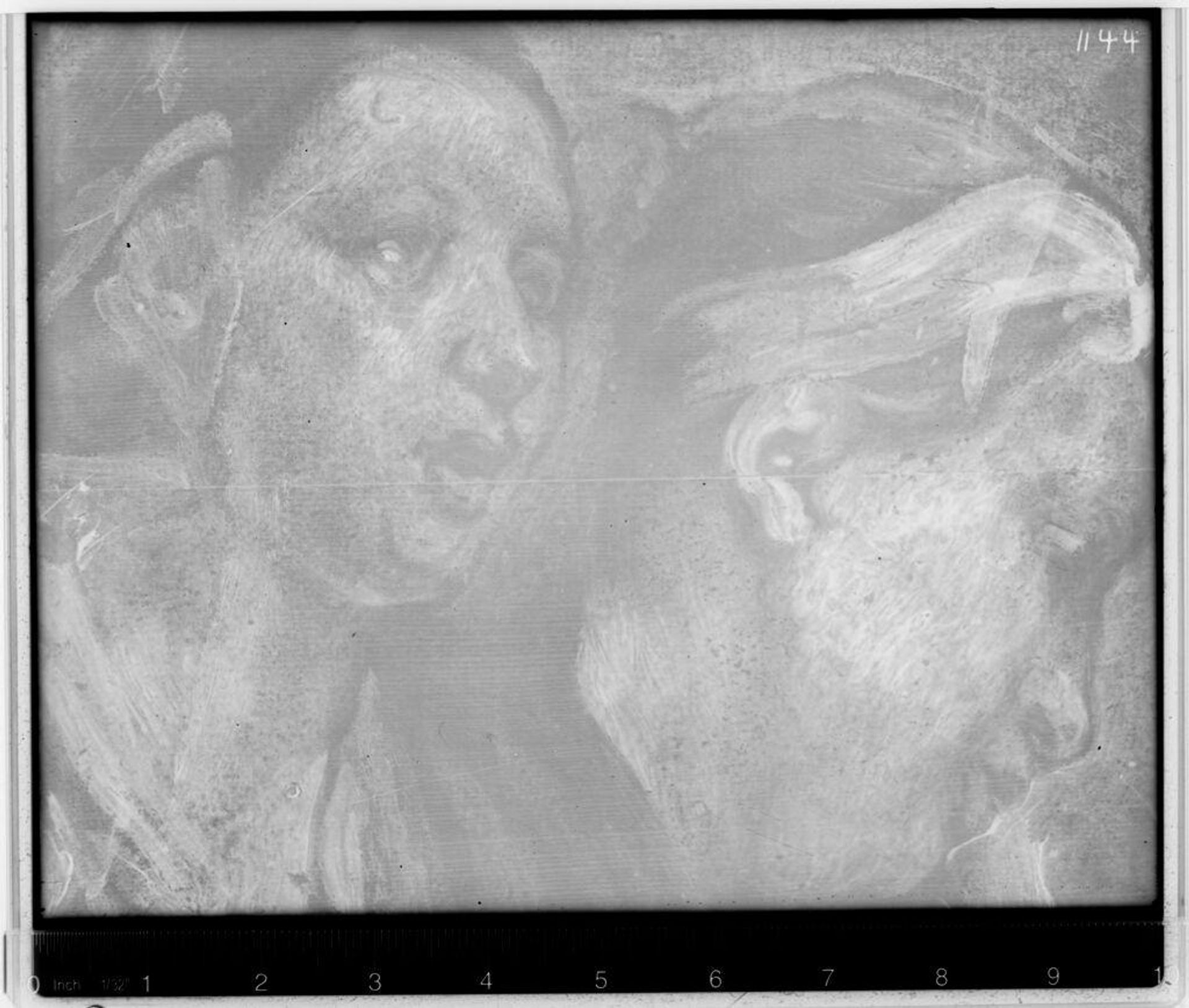 X-radiograph(s) of "Study of Heads" by Artist of original: Jacques Jordaens