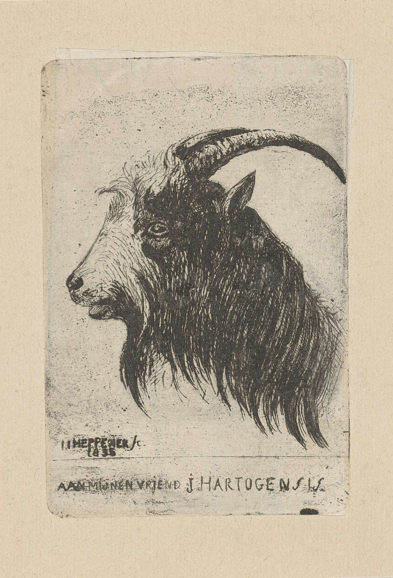Bok by Jan Heppener
