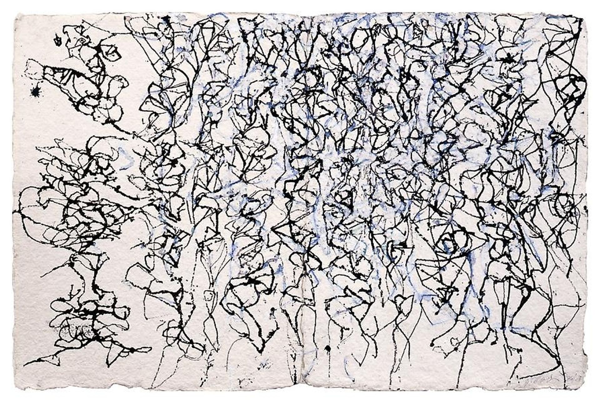 Don't Bungle the Jungle by Brice Marden