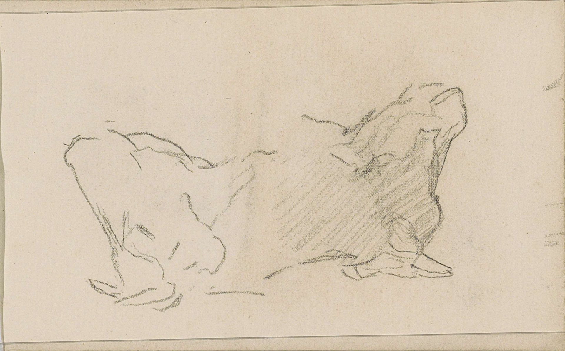Twee koeienkoppen by Anton Mauve