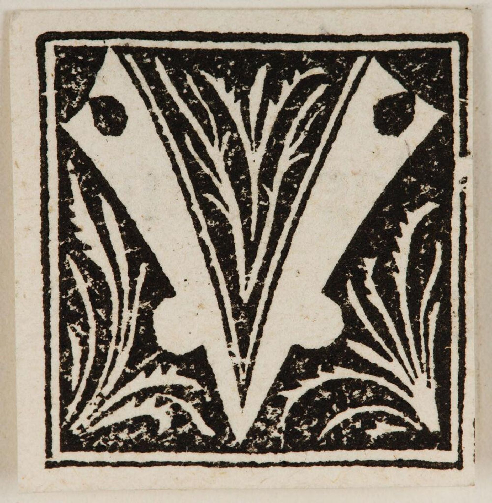 Initial V by Anonymous