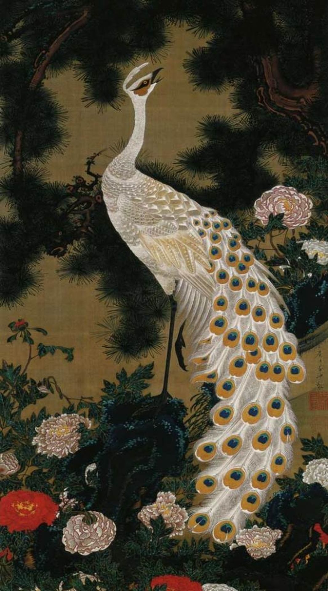 Old Pine Tree and Peacock by Ito Jakuchu