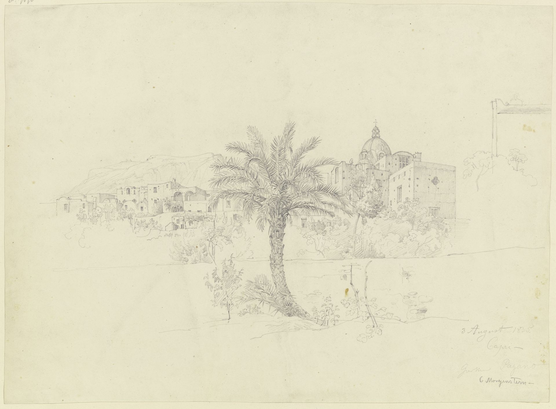 Im Garten von Pagano auf Capri by Carl Morgenstern