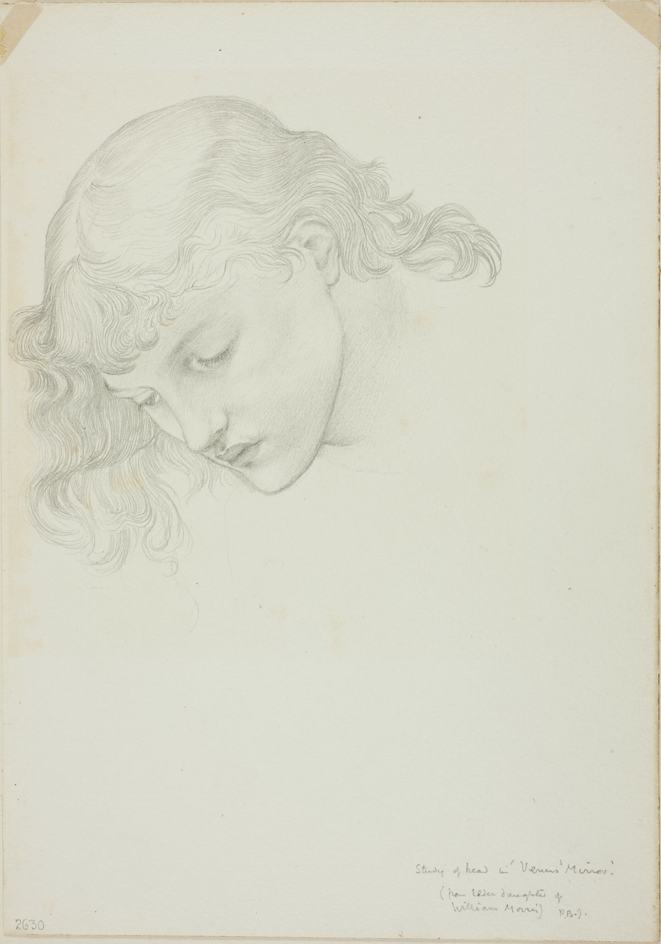 Head, Study for Mirror of Venus by Edward Burne-Jones