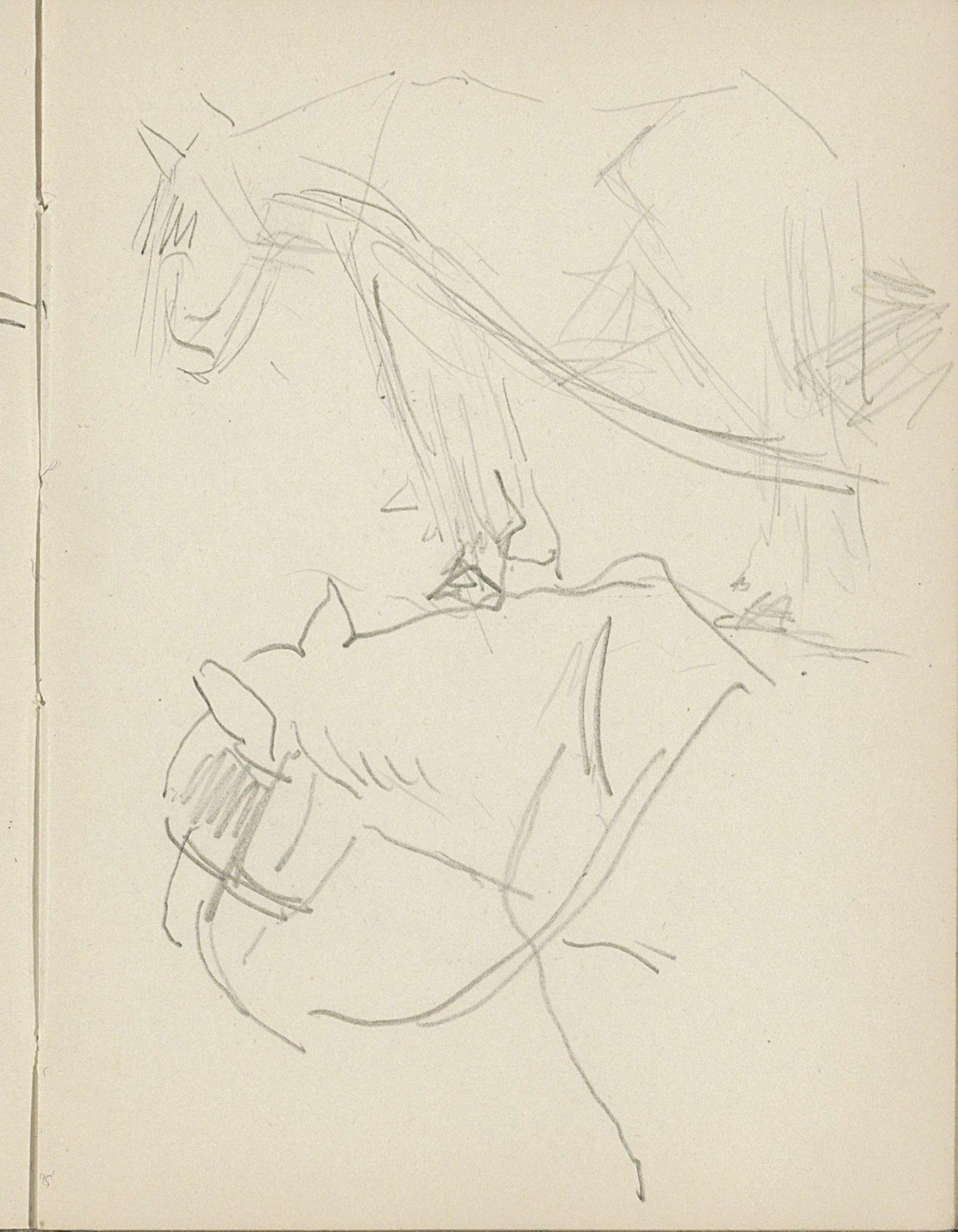 Paard met een halster by Reijer Stolk