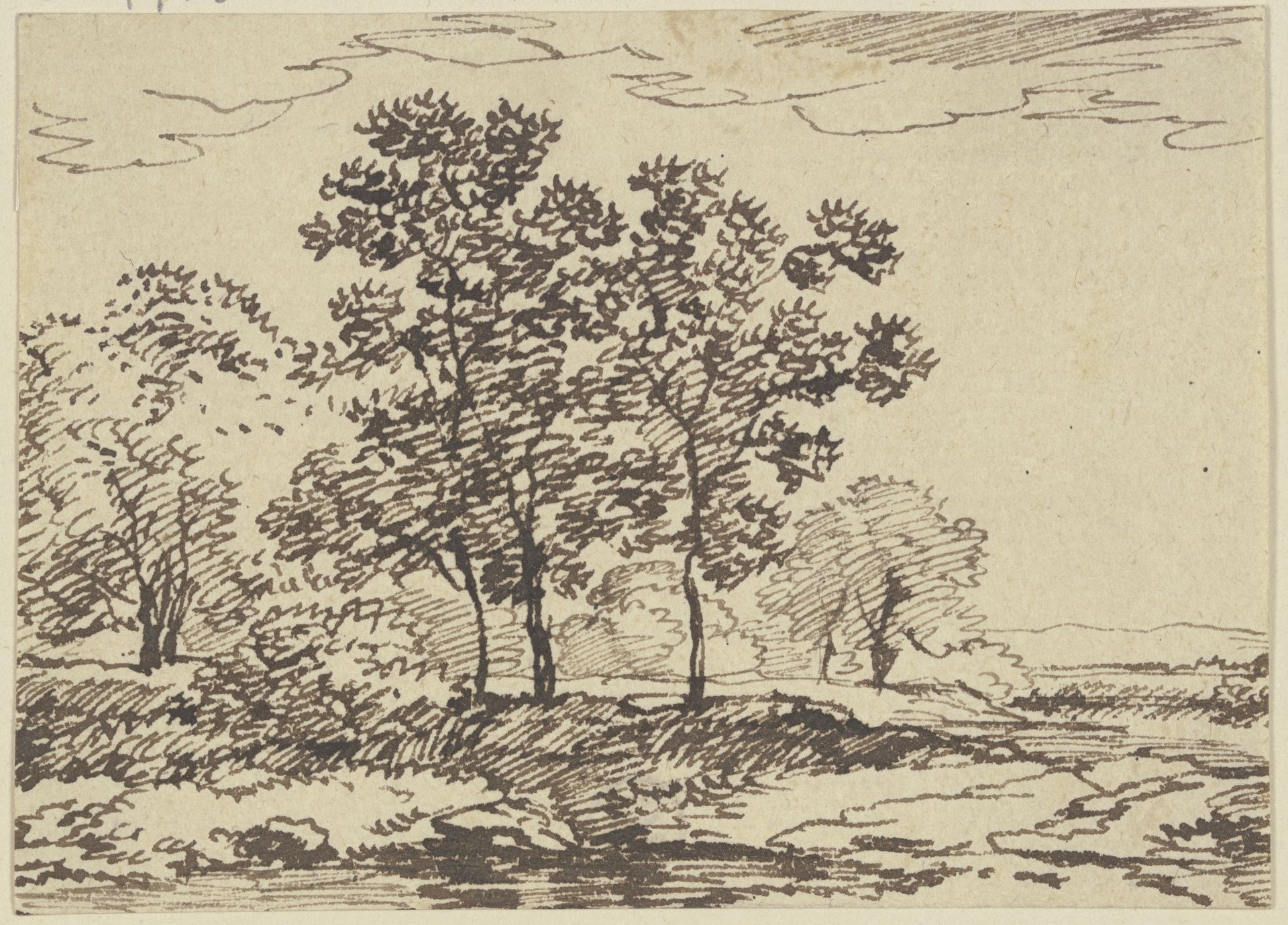 Trees by a body of water by Franz Kobell