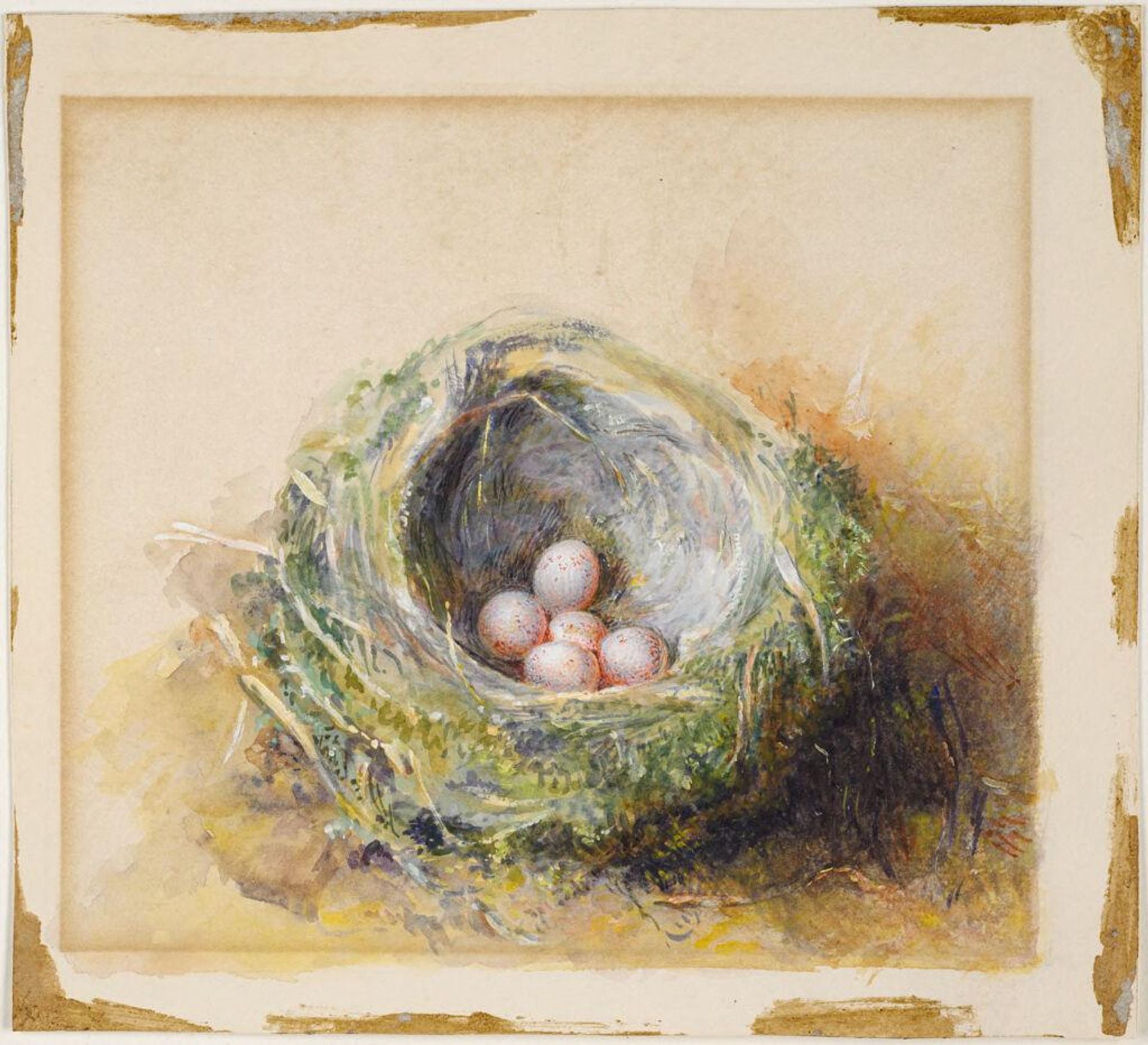 Bird's Nest by Martin Mower
