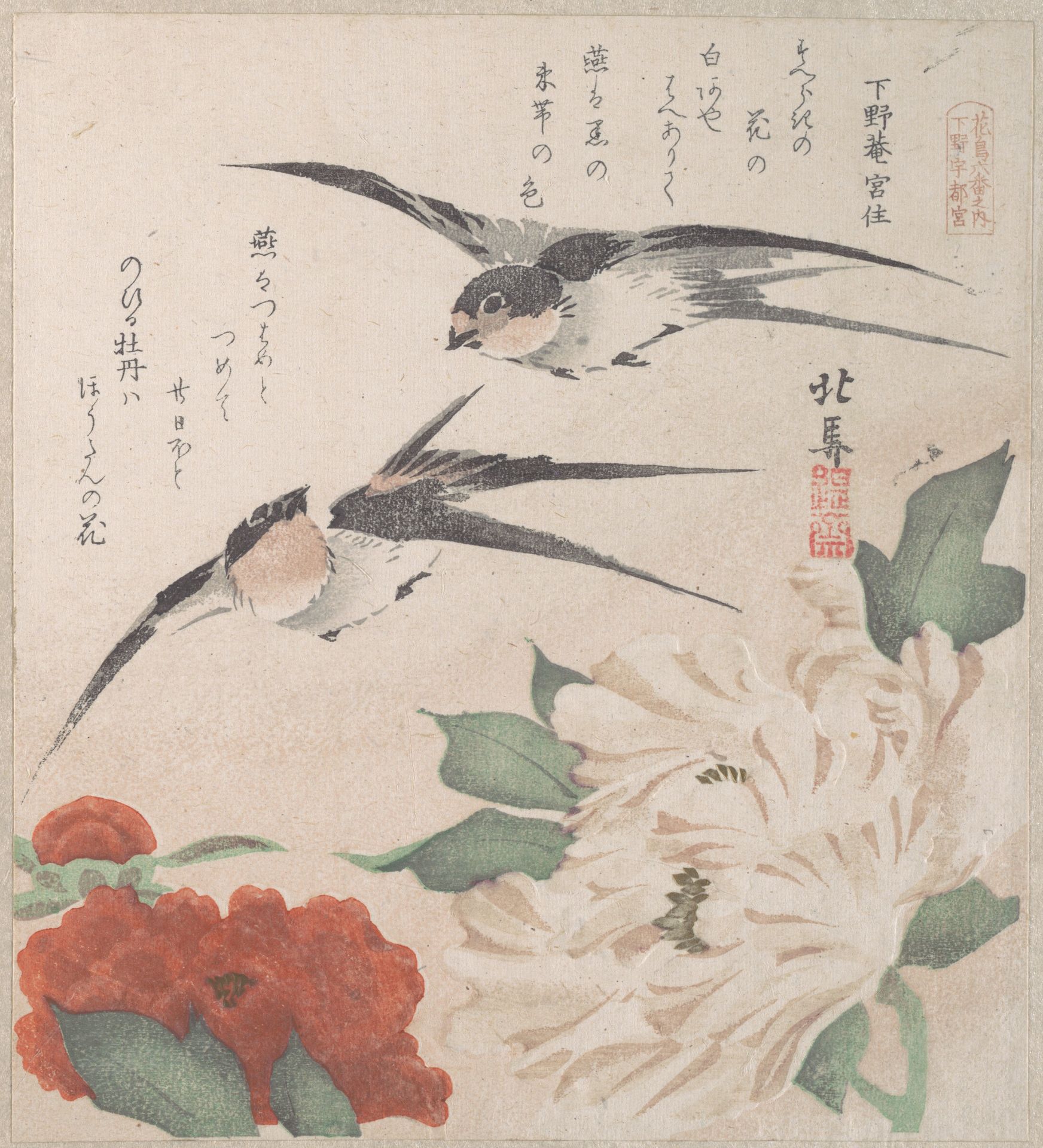 Spring Rain Collection (Harusame shū), vol. 3: Swallows and Peonies by Teisai Hokuba 蹄斎北馬