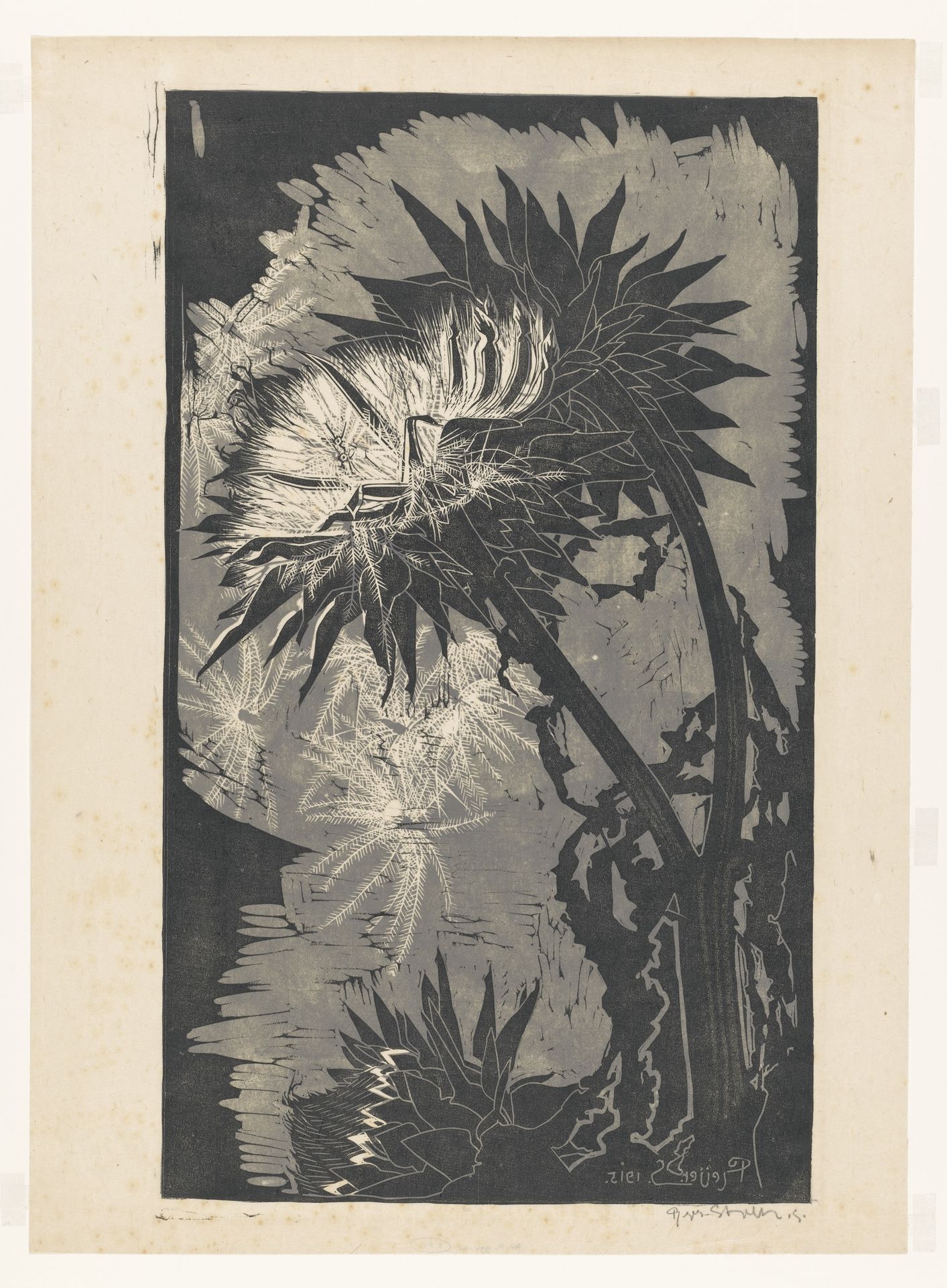 Artisjok by Reijer Stolk