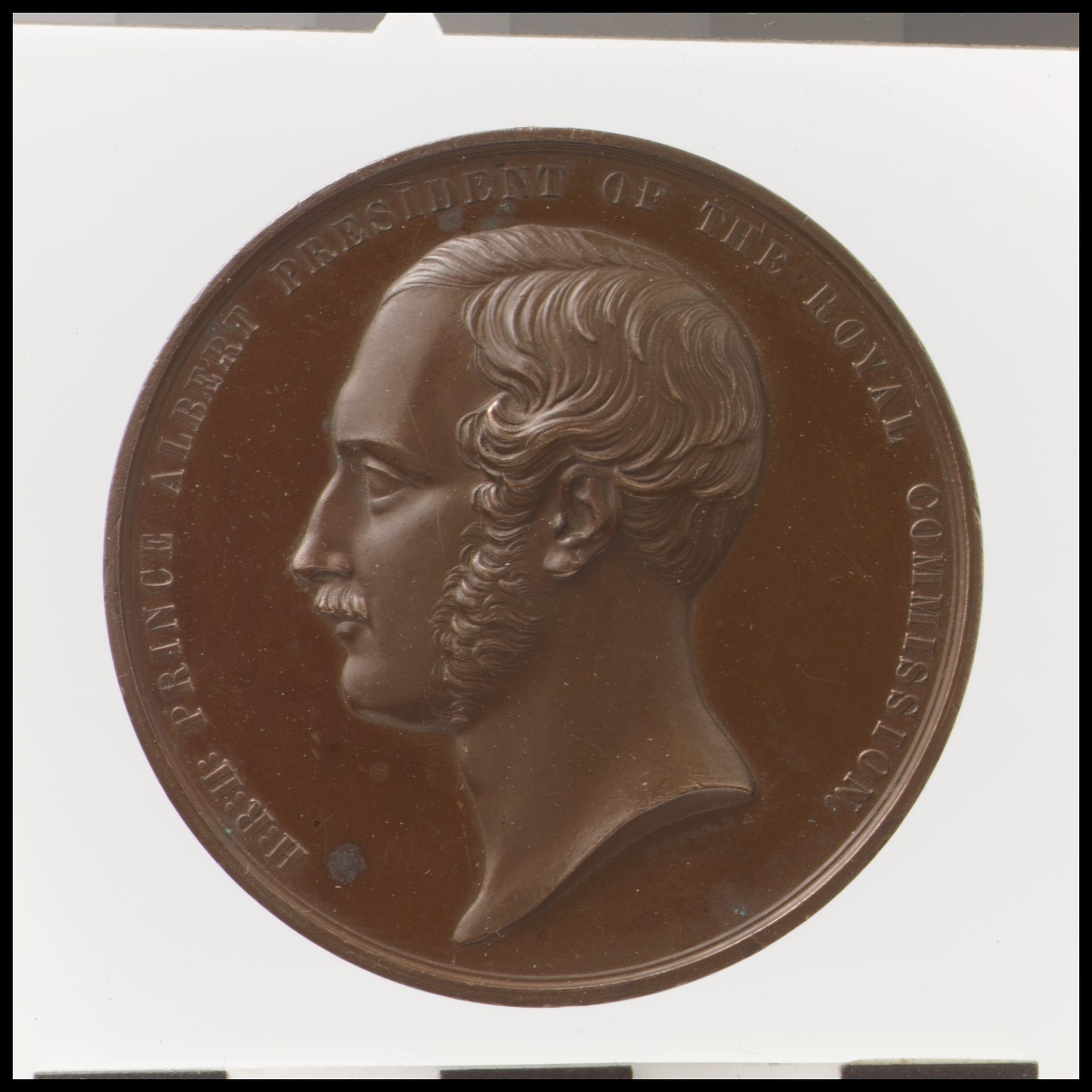 Prince Albert, President of the Royal Commission for the Great Exhibition by William Wyon