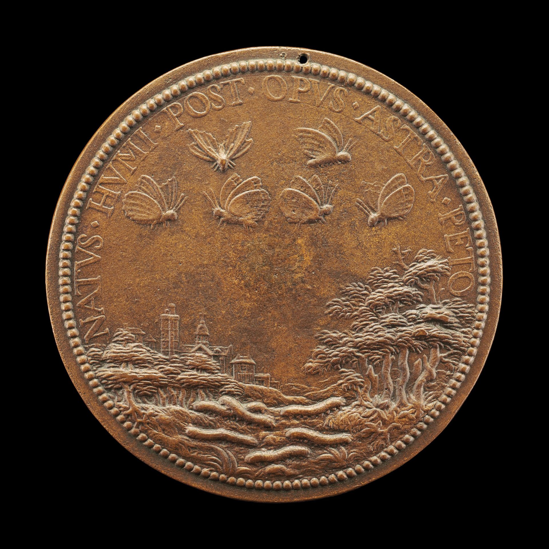 Landscape with Caterpillars and Butterflies [reverse] by Abraham Dupré
