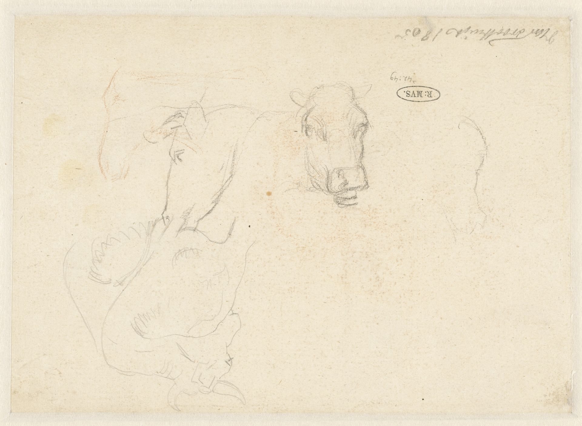 Schetsblad met enkele schetsen van koeien by Wouter Johannes van Troostwijk