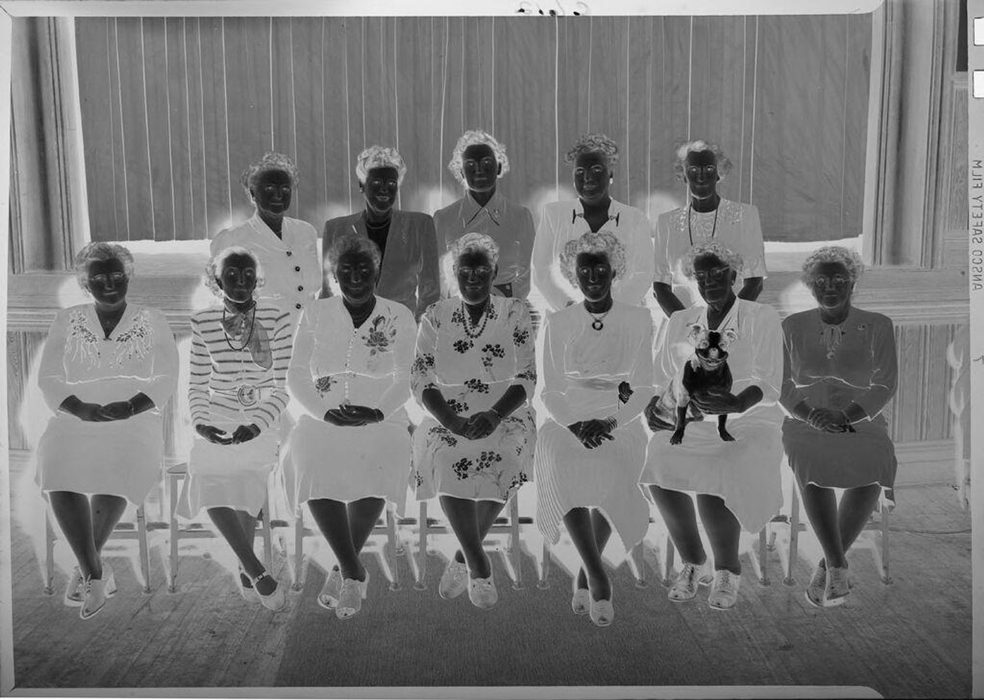 Untitled (group portrait of women) by Robert Burian