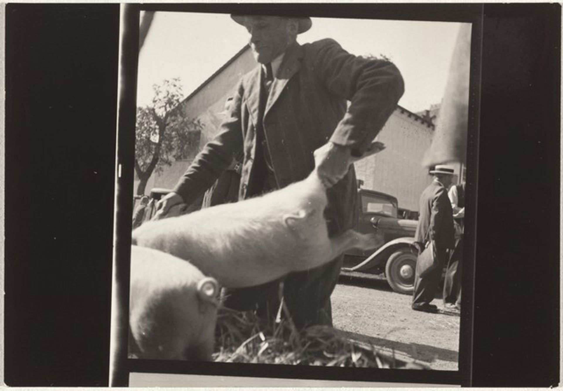 Market outside Zurich--Farming by Robert Frank