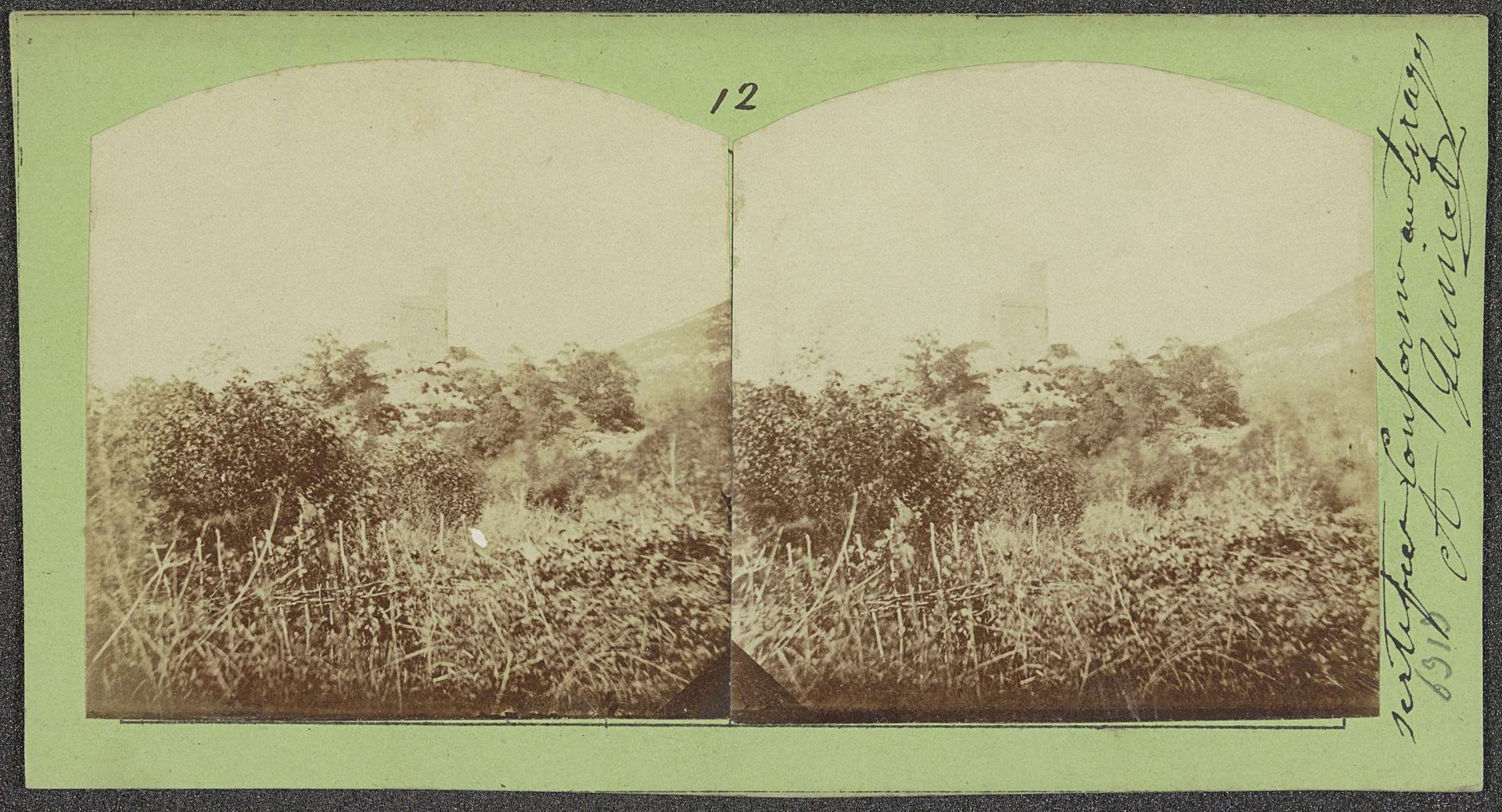 Bosschage met op de achtergrond bomen en een gebouw en de voet van de Alpen by Achille Quinet