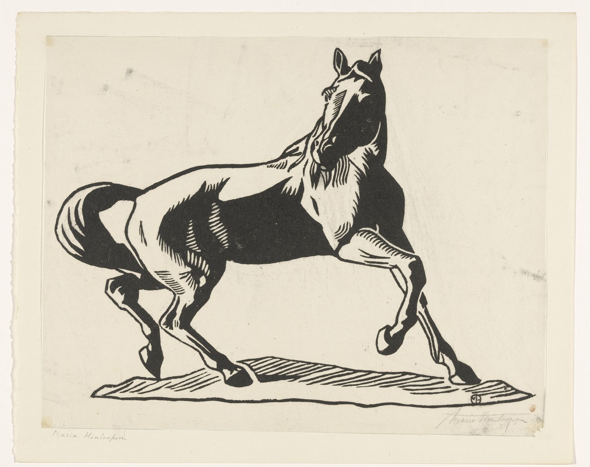 Paard by Maria Hinloopen