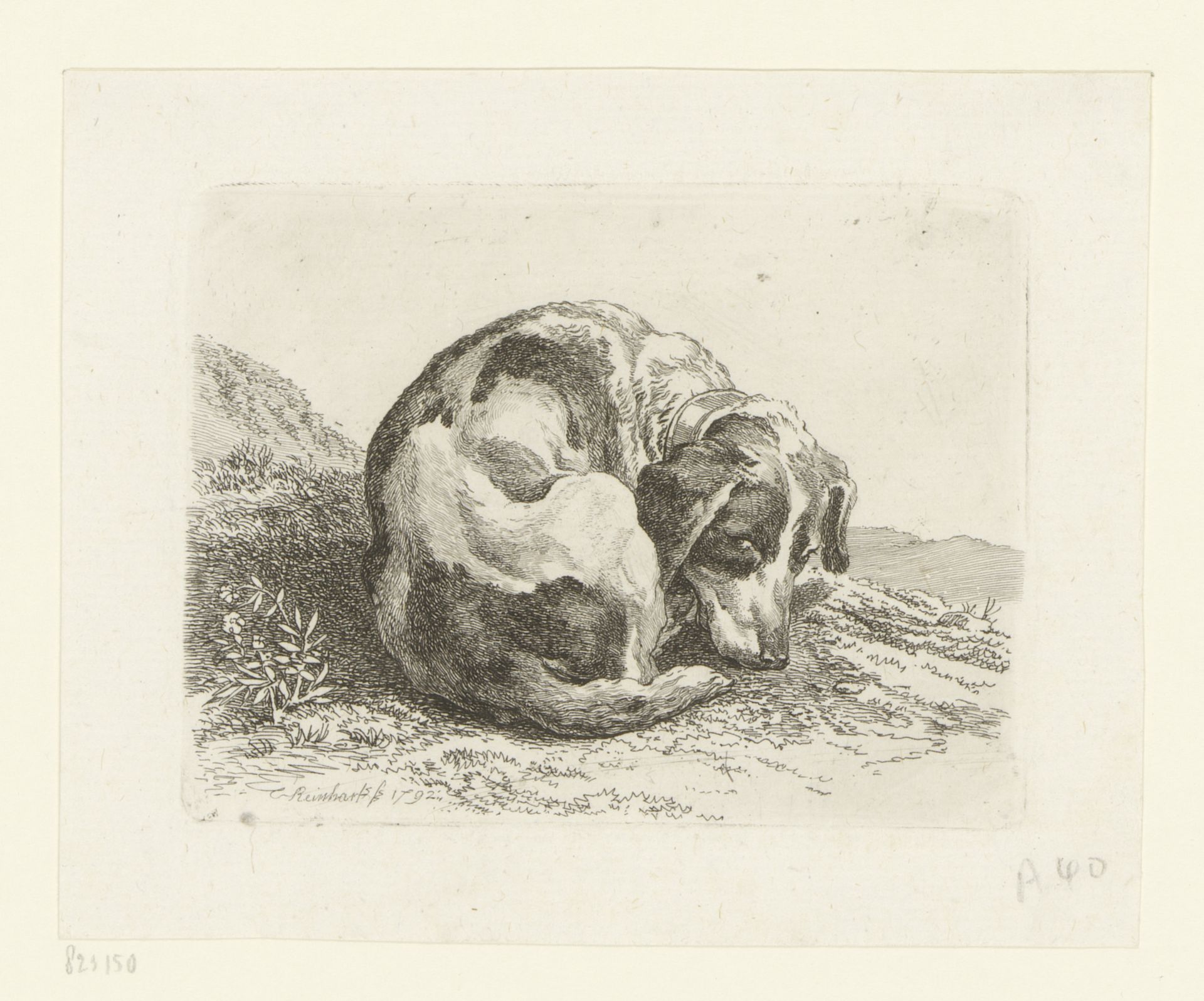 Liggende jachthond by Johann Christian Reinhart
