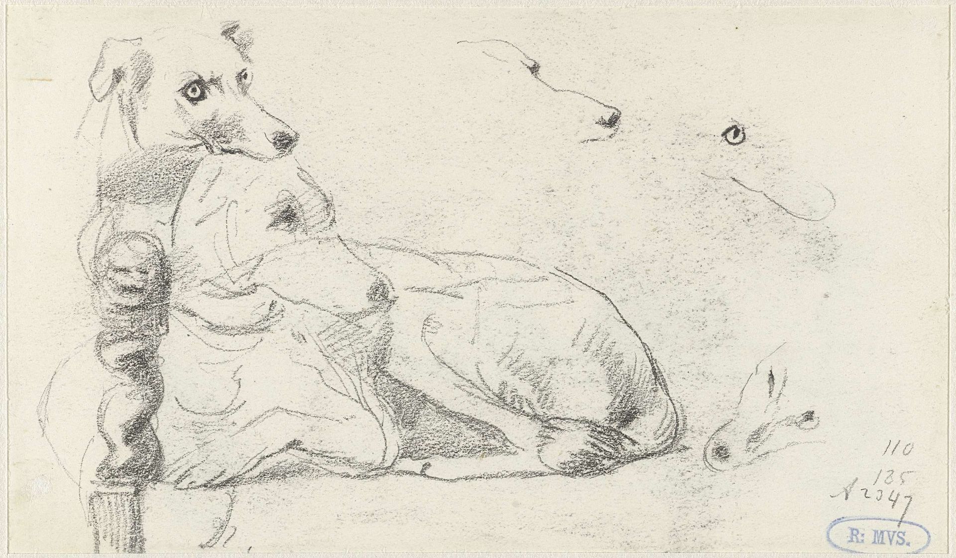 Schetsen van een hond, liggend op een stoel by Guillaume Anne van der Brugghen