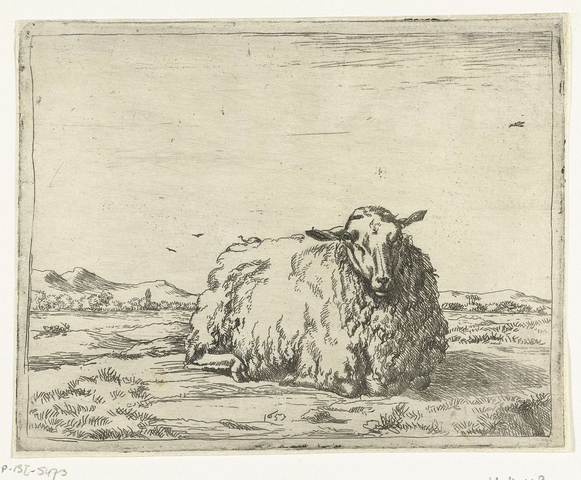 Rustend schaap, van voren gezien by Marcus de Bye