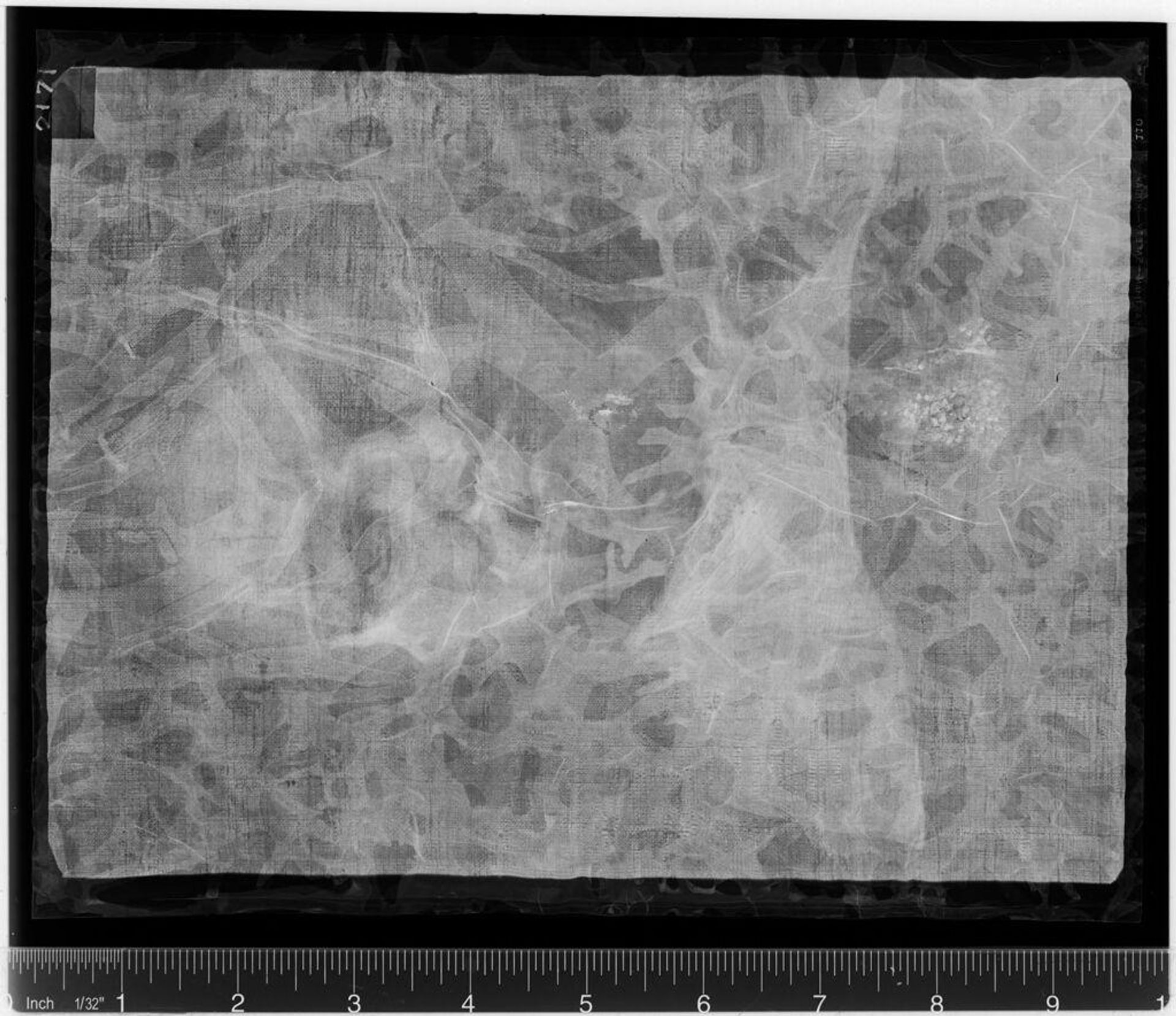 X-radiograph(s) of "Portrait of a Man" by Artist of original: Ferdinand Bol