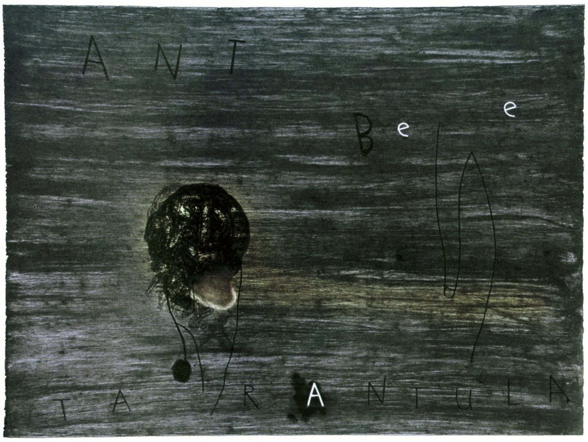 Ant, Bee, Tarantula by David Lynch
