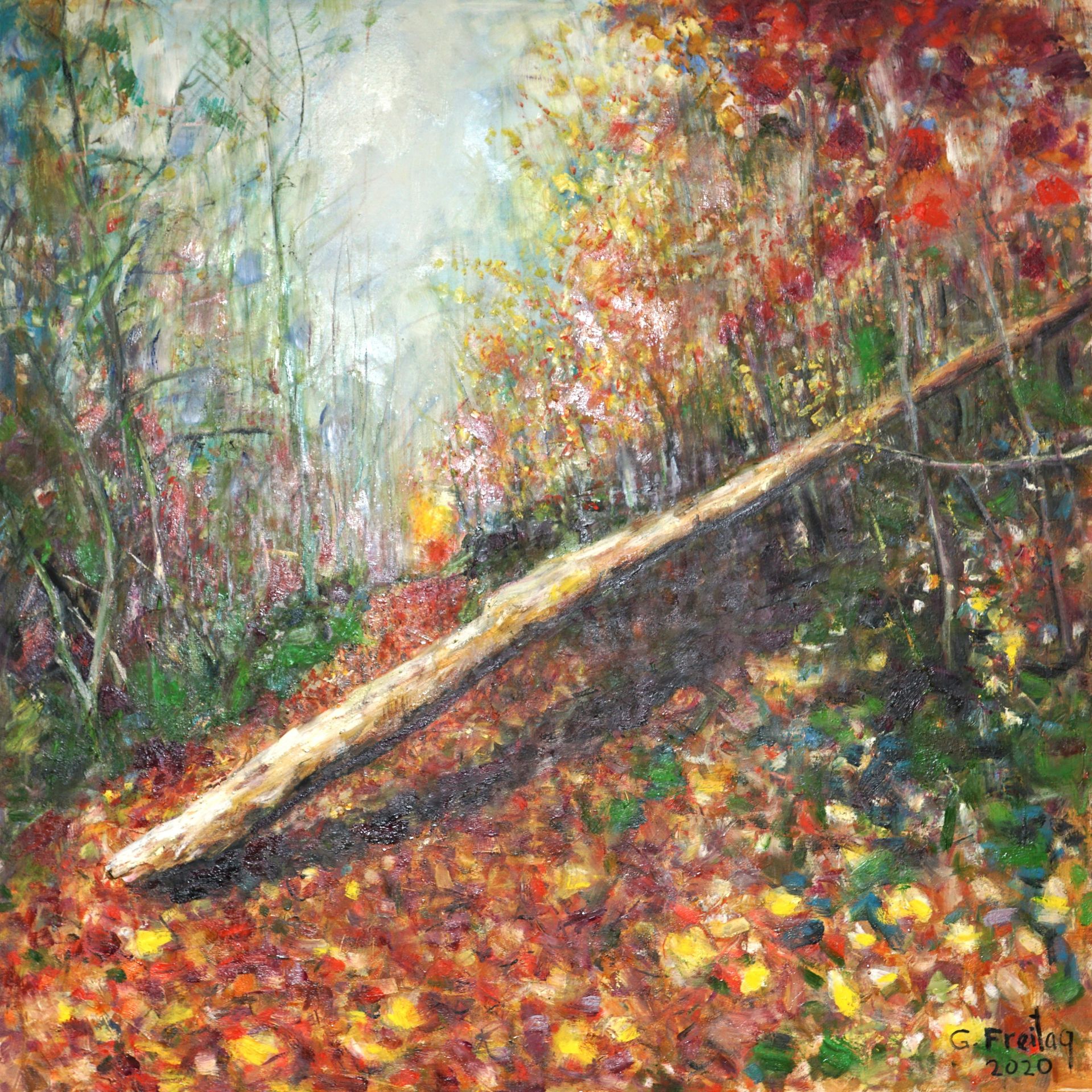 Bachlberg by Gazmend Freitag
