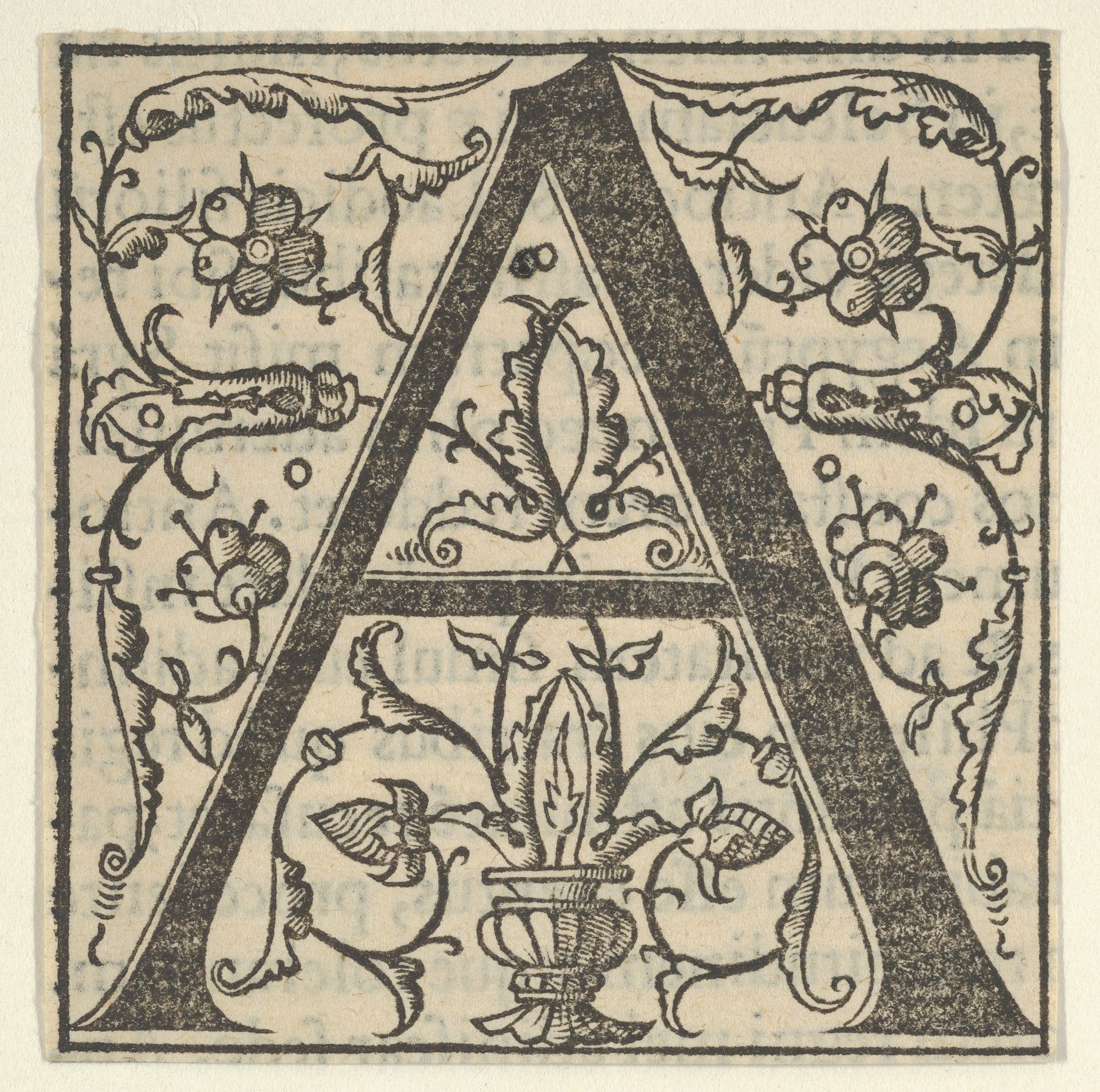 Initial letter A with garlands by Oronce Finé