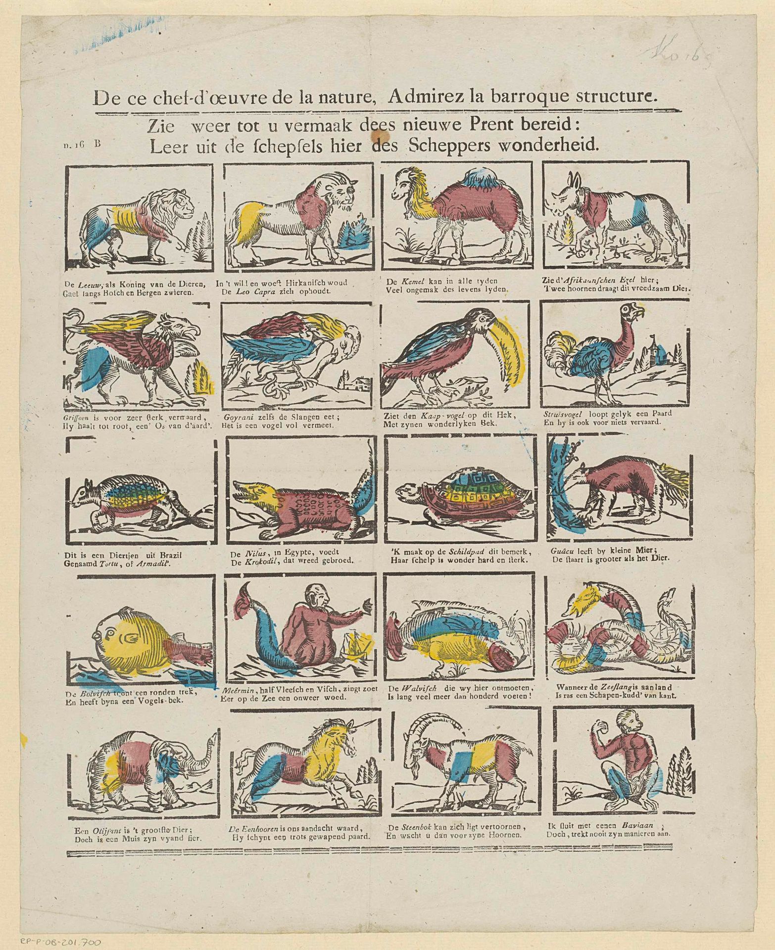 De ce chef d'oeuvre de la nature, Admirez la barroque structure / Zie weer tot u vermaak dees nieuwe prent bereid: / Leer uit de schepsels hier des scheppers wonderheid by Philippus Jacobus Brepols