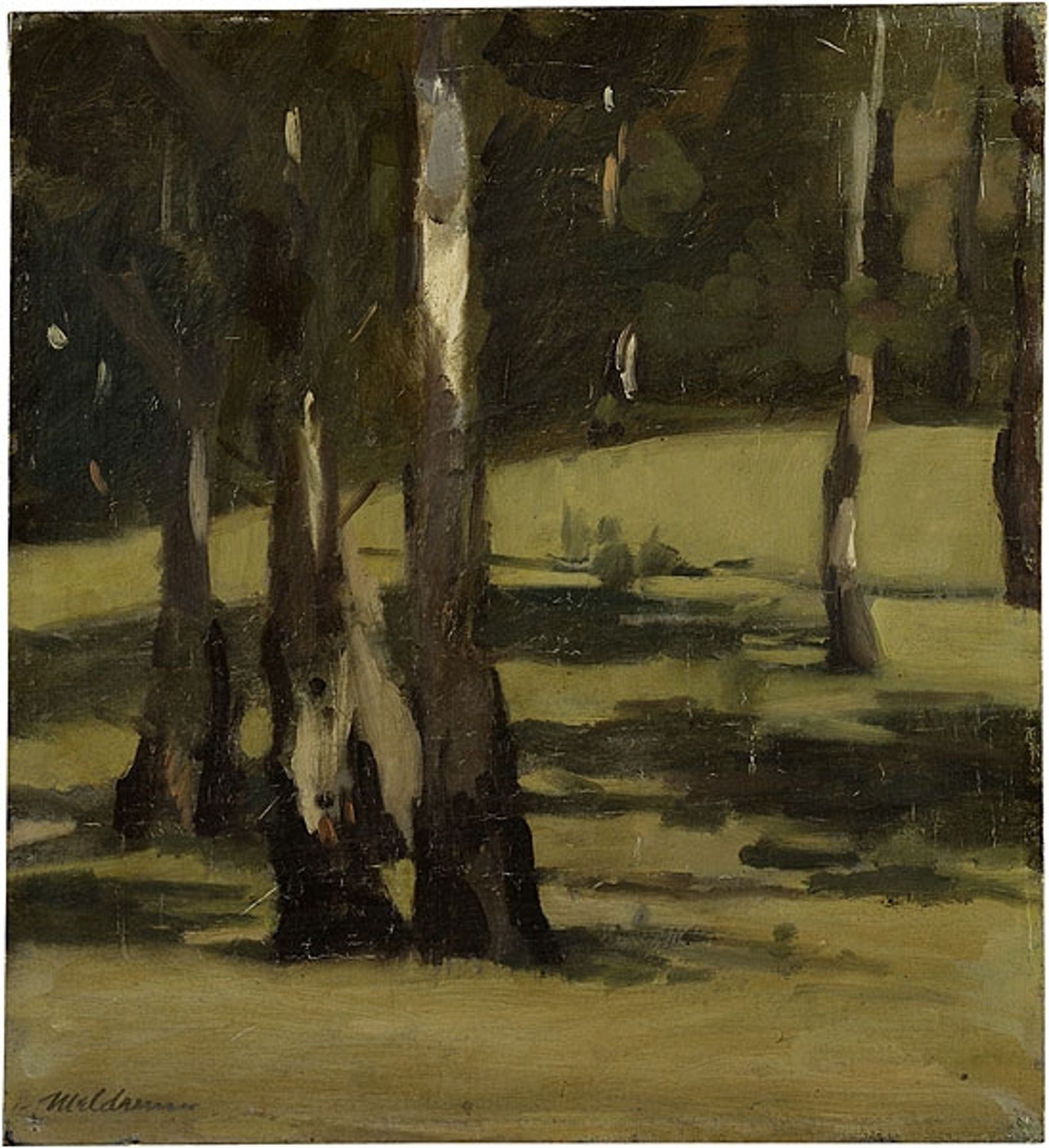 Shadows, landscape with trees by Max Meldrum