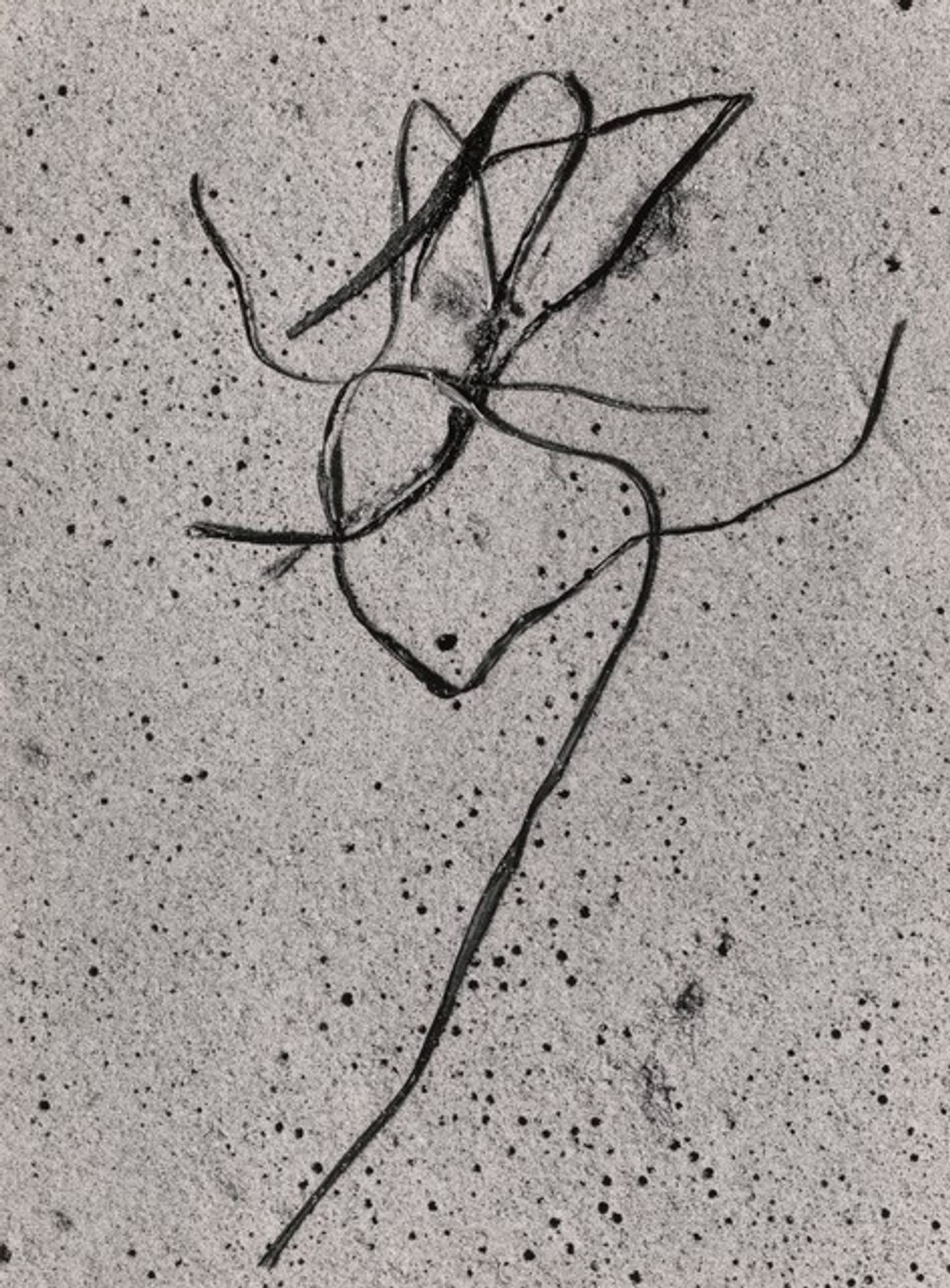 Martha's Vineyard 9 by Aaron Siskind