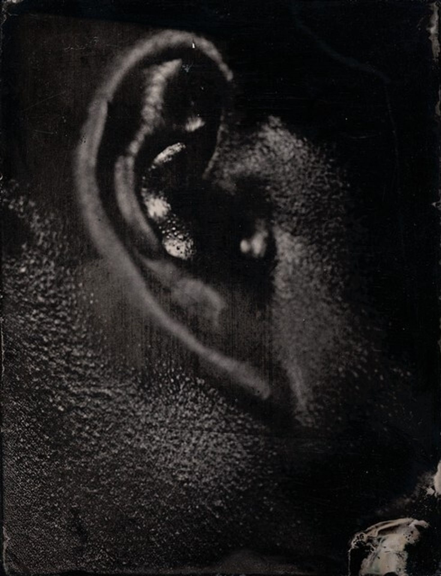 Untitled [Ref. #32] by Myra Greene