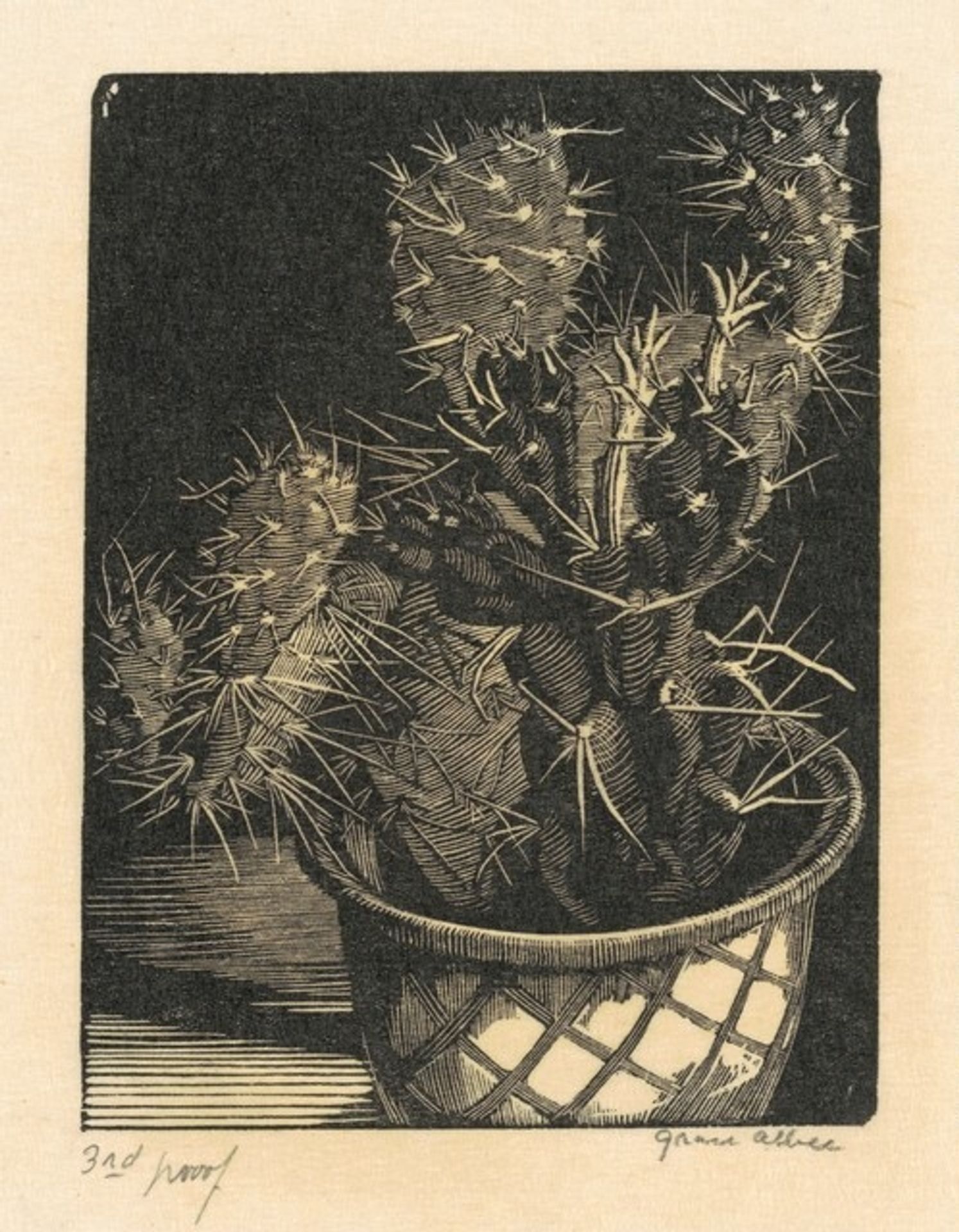 Cacti by Grace Albee
