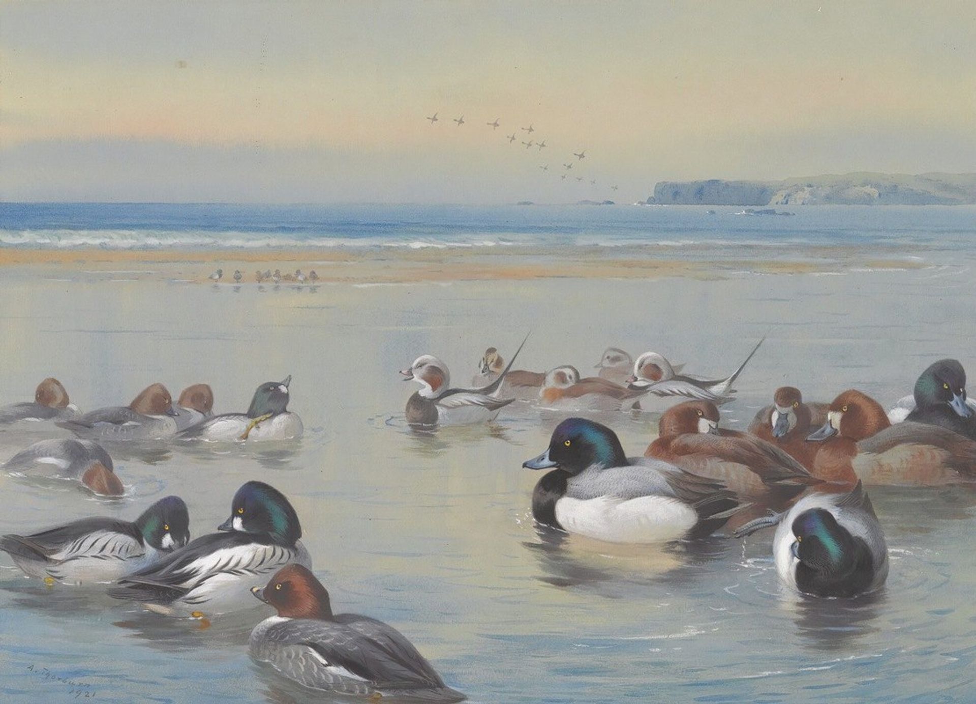 Ducks Along The Shoreline by Archibald Thorburn
