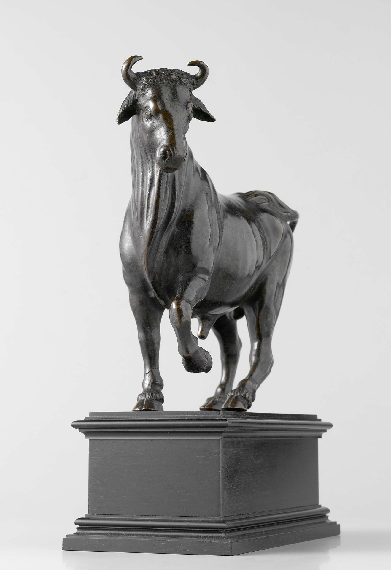 Stier by Giambologna