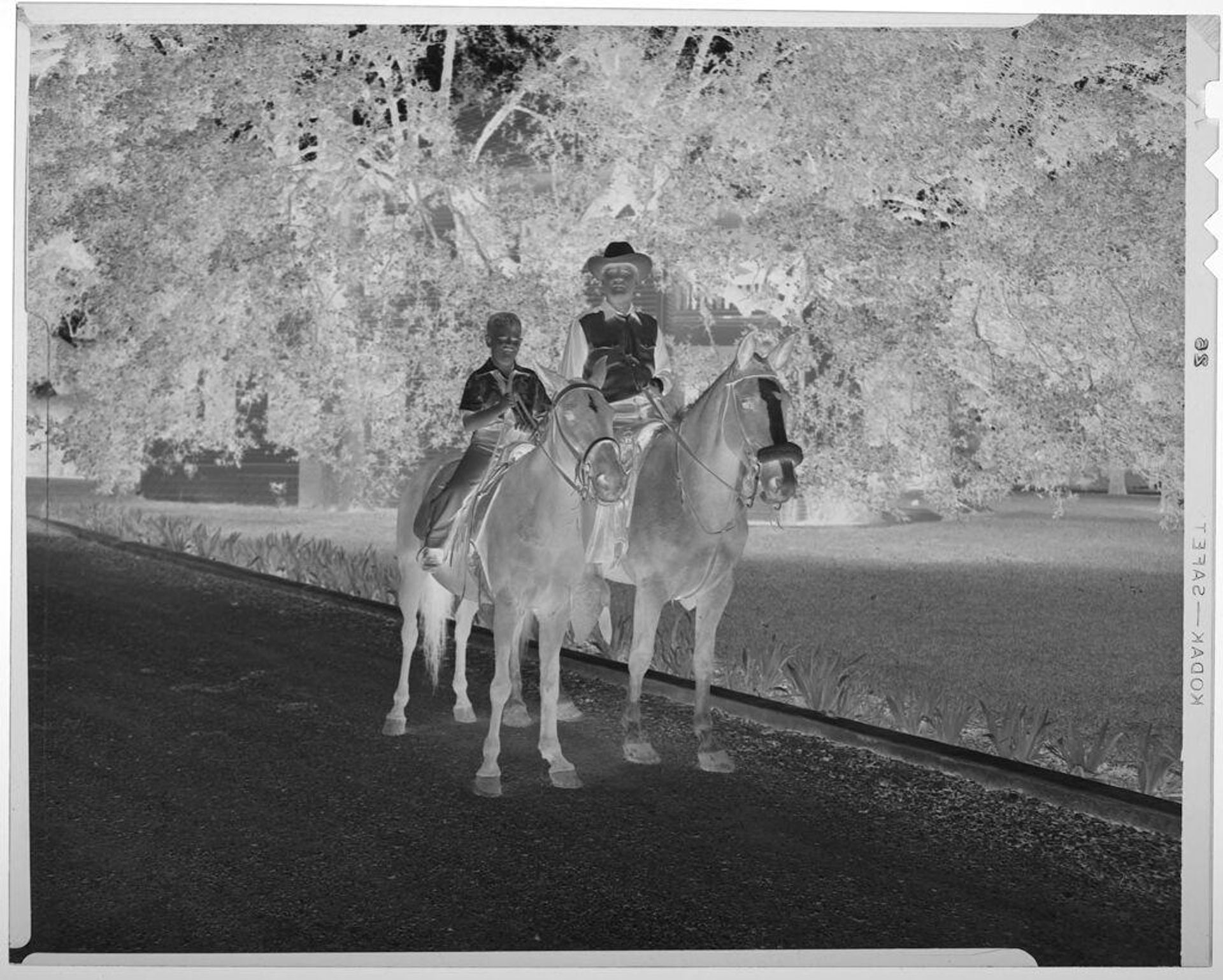 Untitled (man and young boy on horses) by Harry Annas