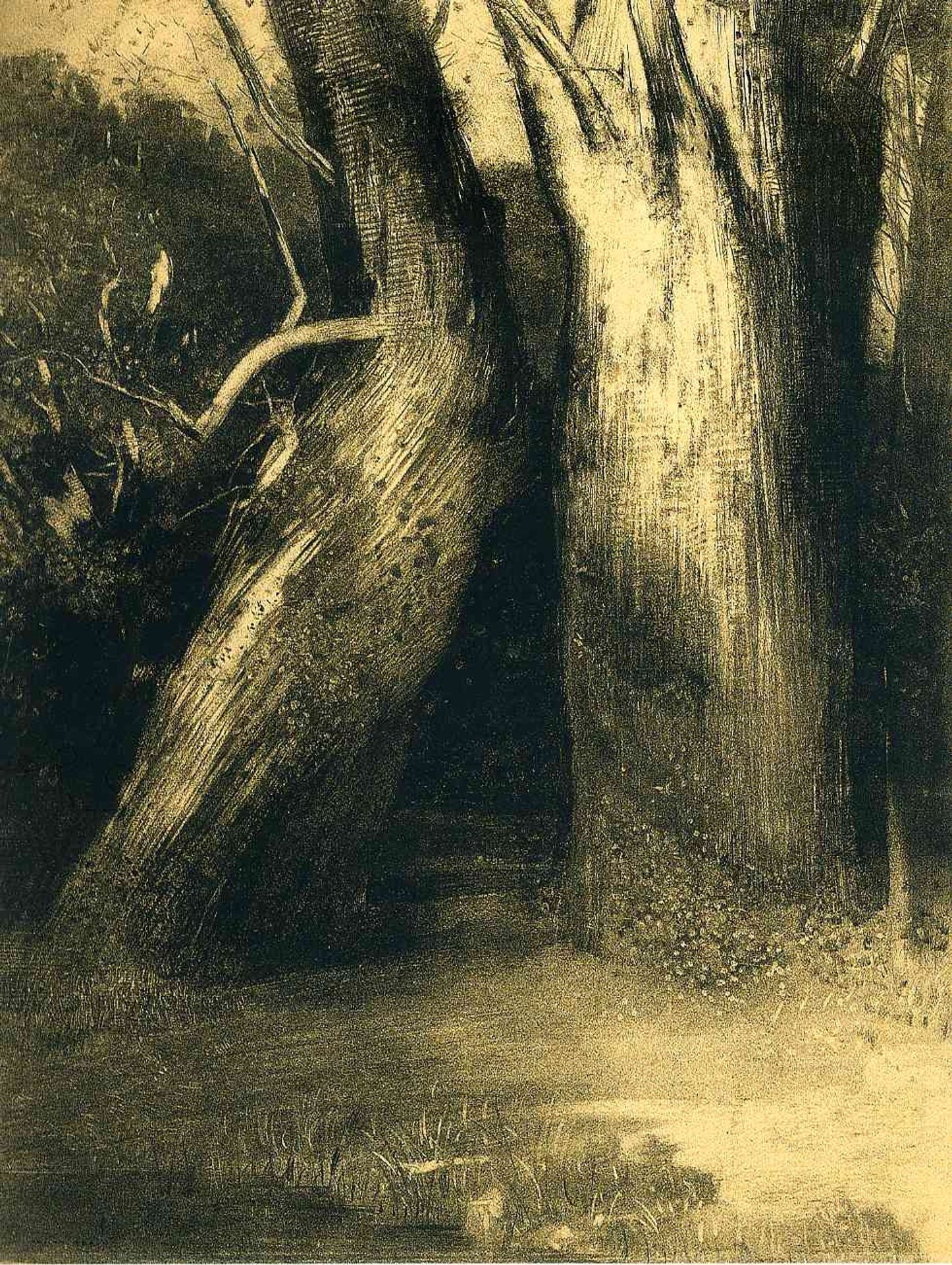 Two trees by Odilon Redon