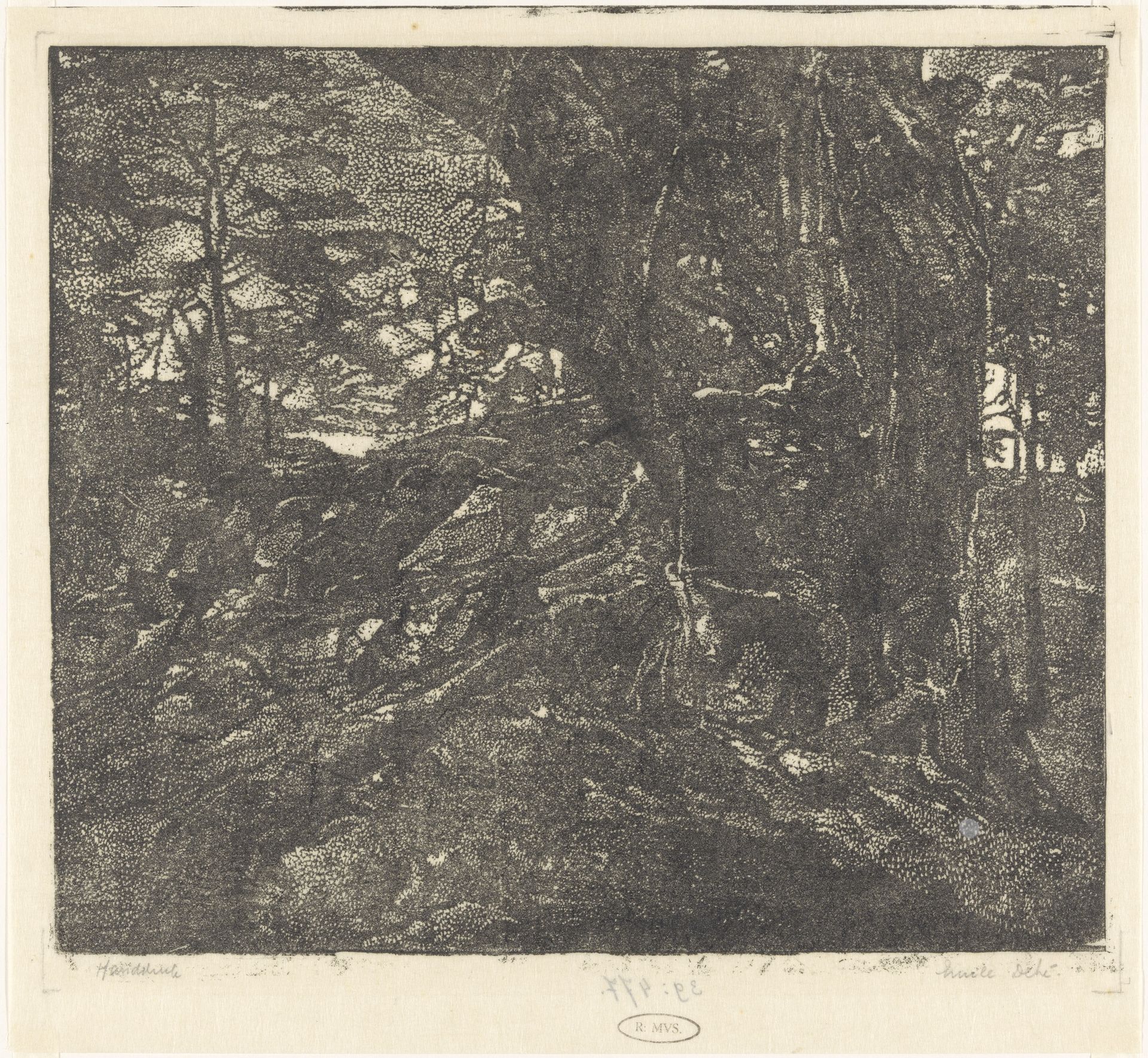 Bomen aan een duinrand tussen Egmond en Bergen by Emilius Wilhelmus Dehé