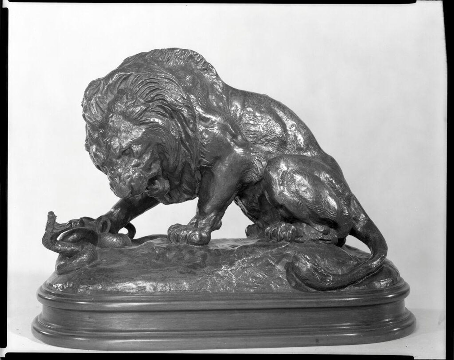 Lion with a Serpent by Antoine Louis Barye