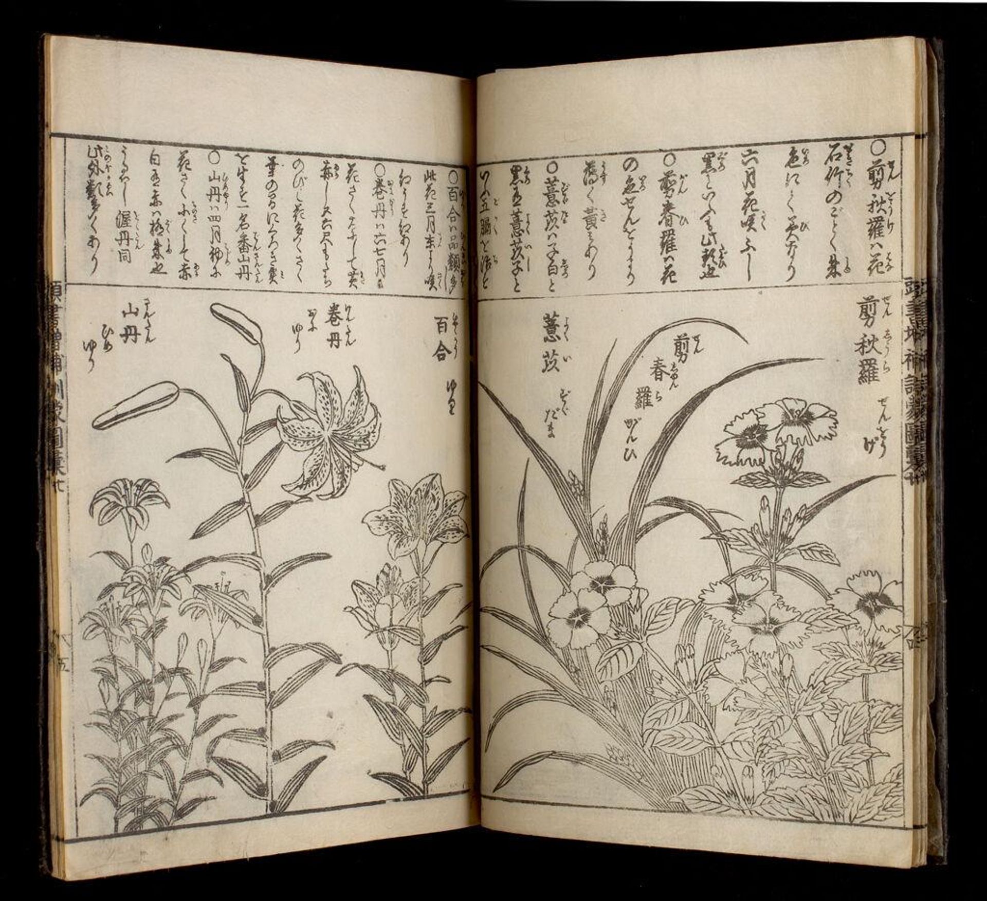 Great Illustrated Encyclopedia, Revised and Enlarged (SÅbo tÅsho kinmÅ zui taisei), vol. 9 by Author: Nakamura Tekisai
