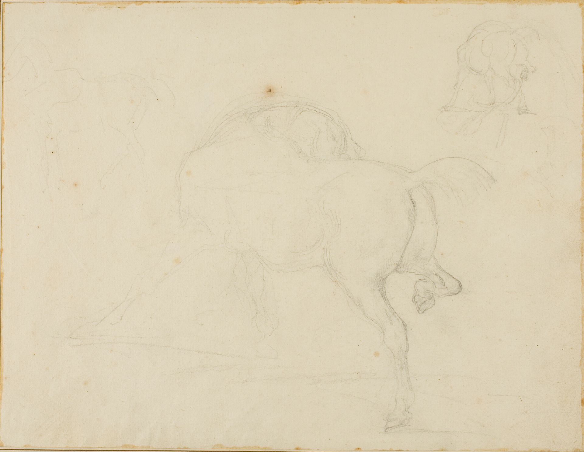 Study of a Horse Turning Its Head and Raising His Hind Leg by Théodore Géricault