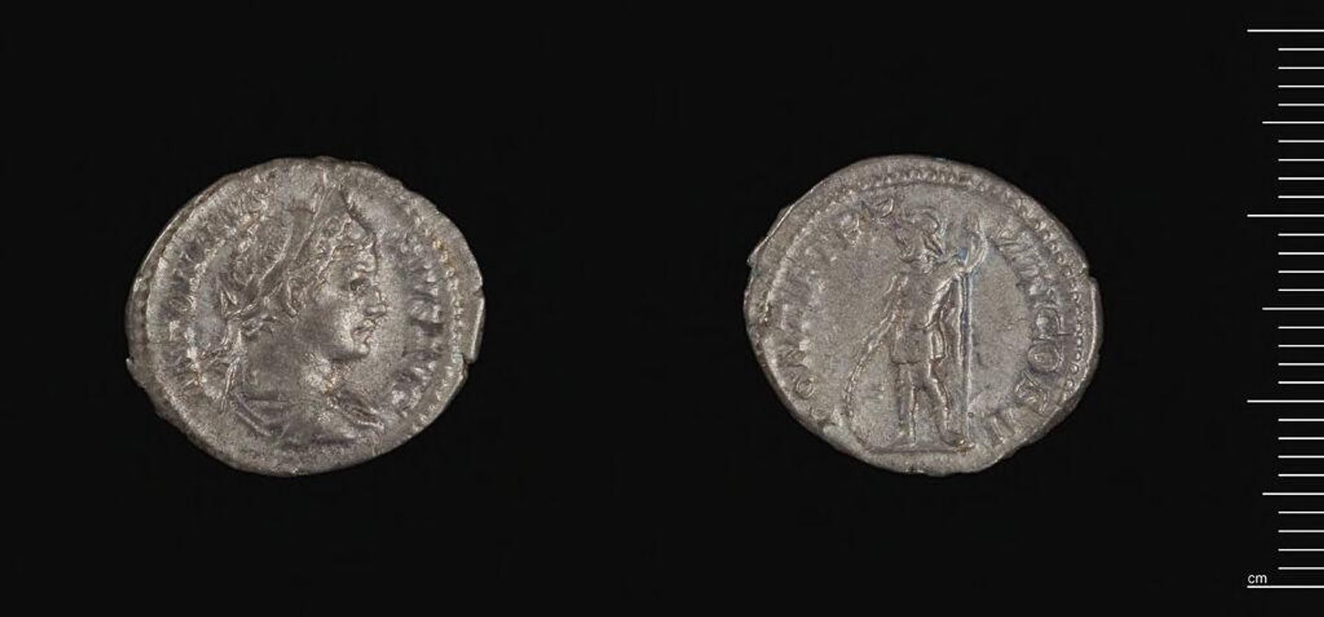 Denarius of Septimius Severus by Septimius Severus