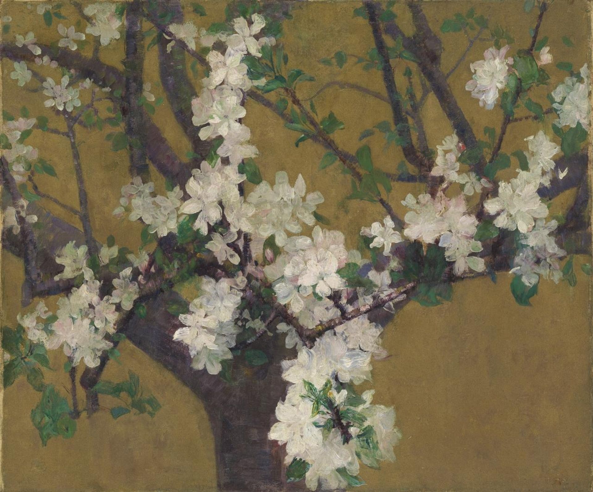 Almond tree in blossom by John Peter Russell