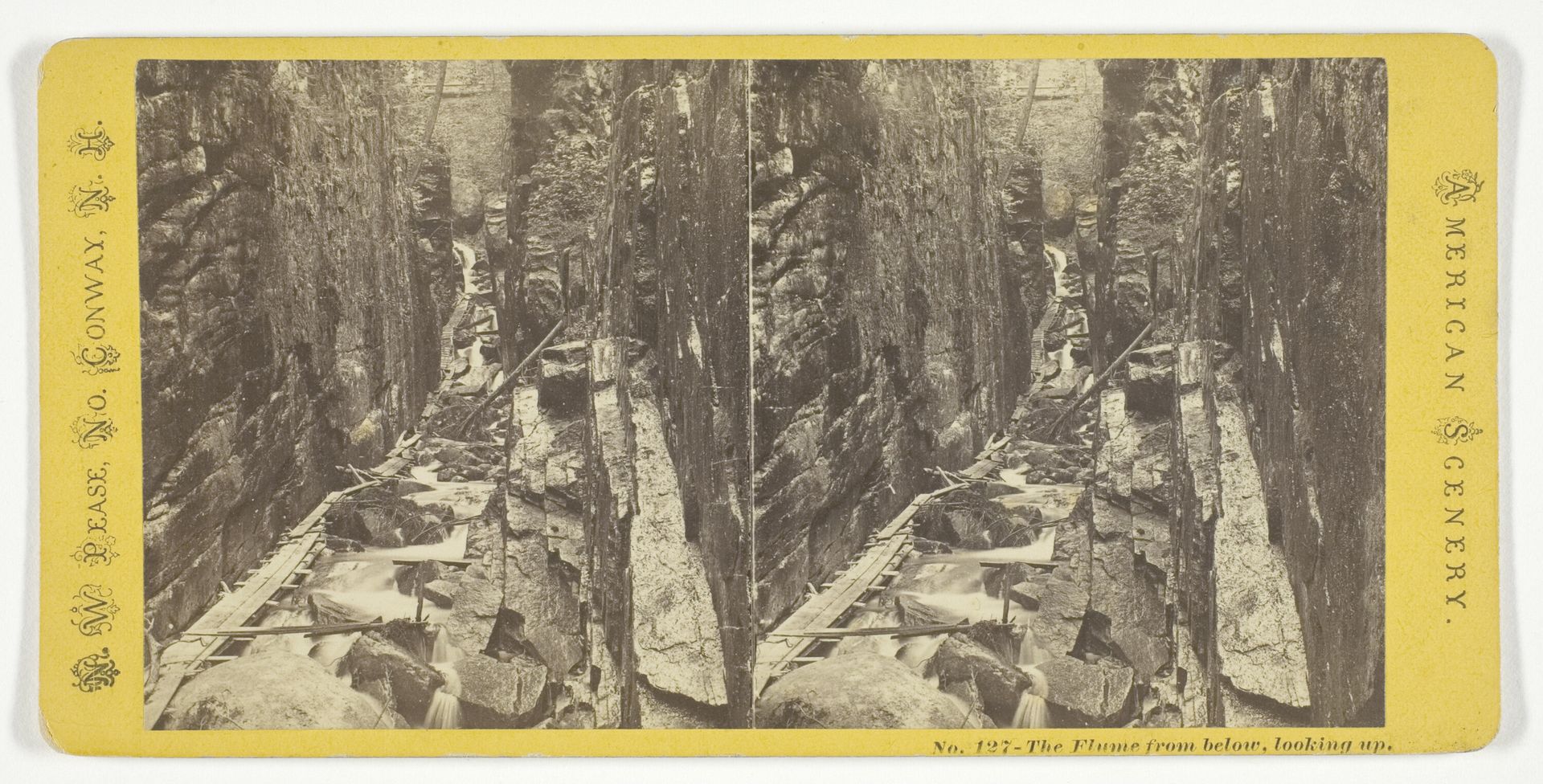 The Flume from below, looking up by N. W. Pease