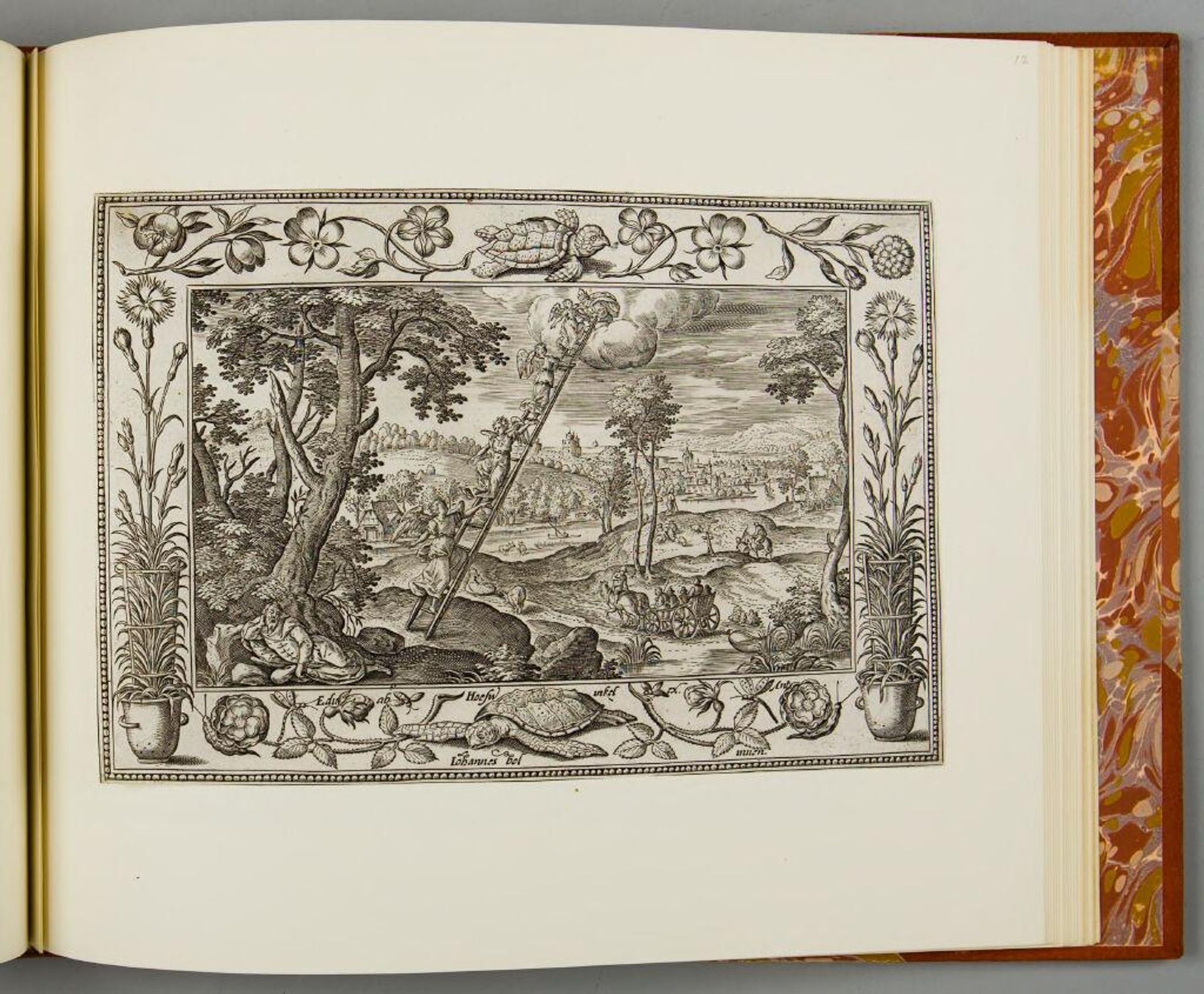 Jacob's Dream, with Sea-Turtle and Pinks by Adriaen Collaert