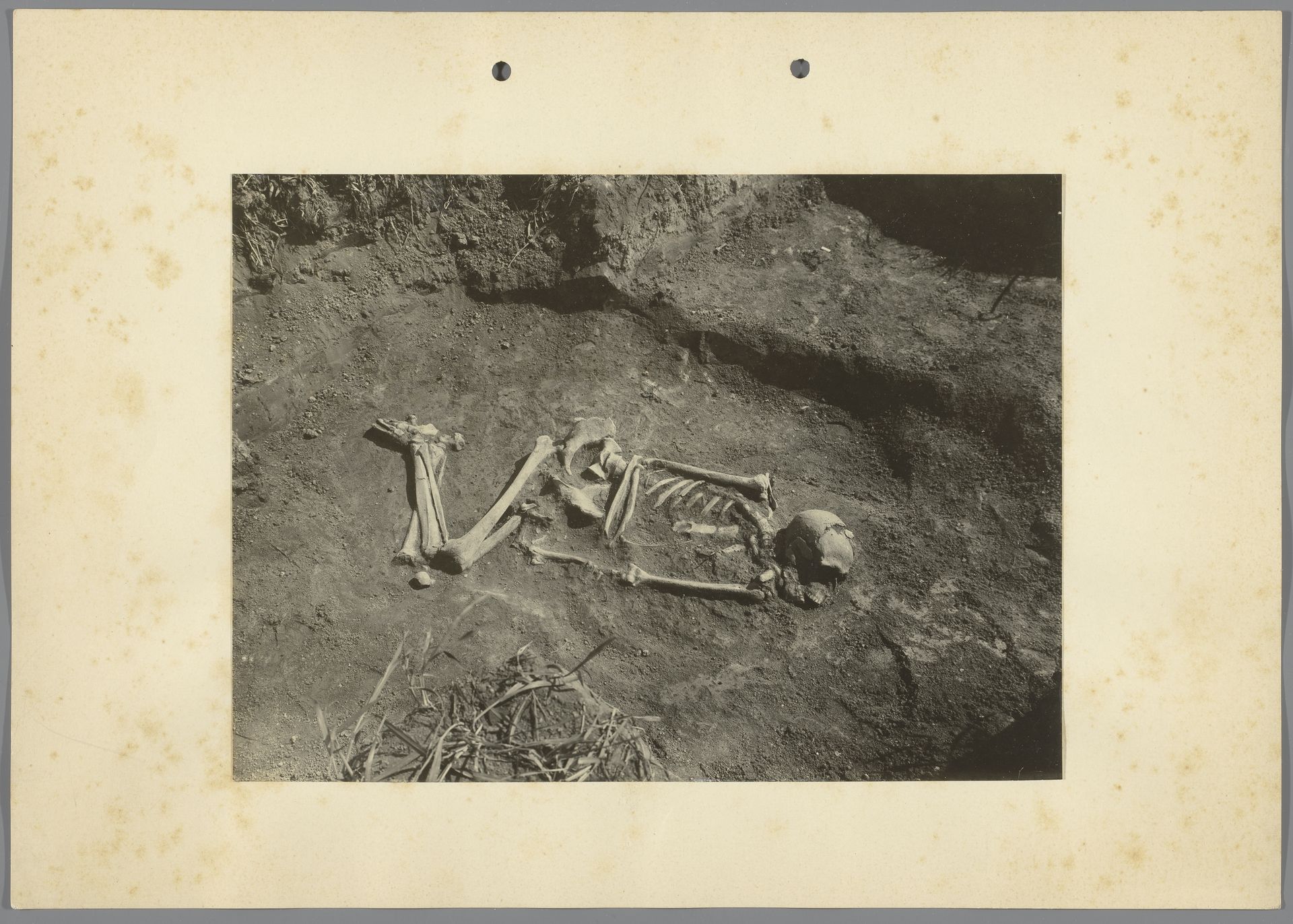 Skelet, gevonden bij archeologische opgravingen te Hongarije by Jan Lanting